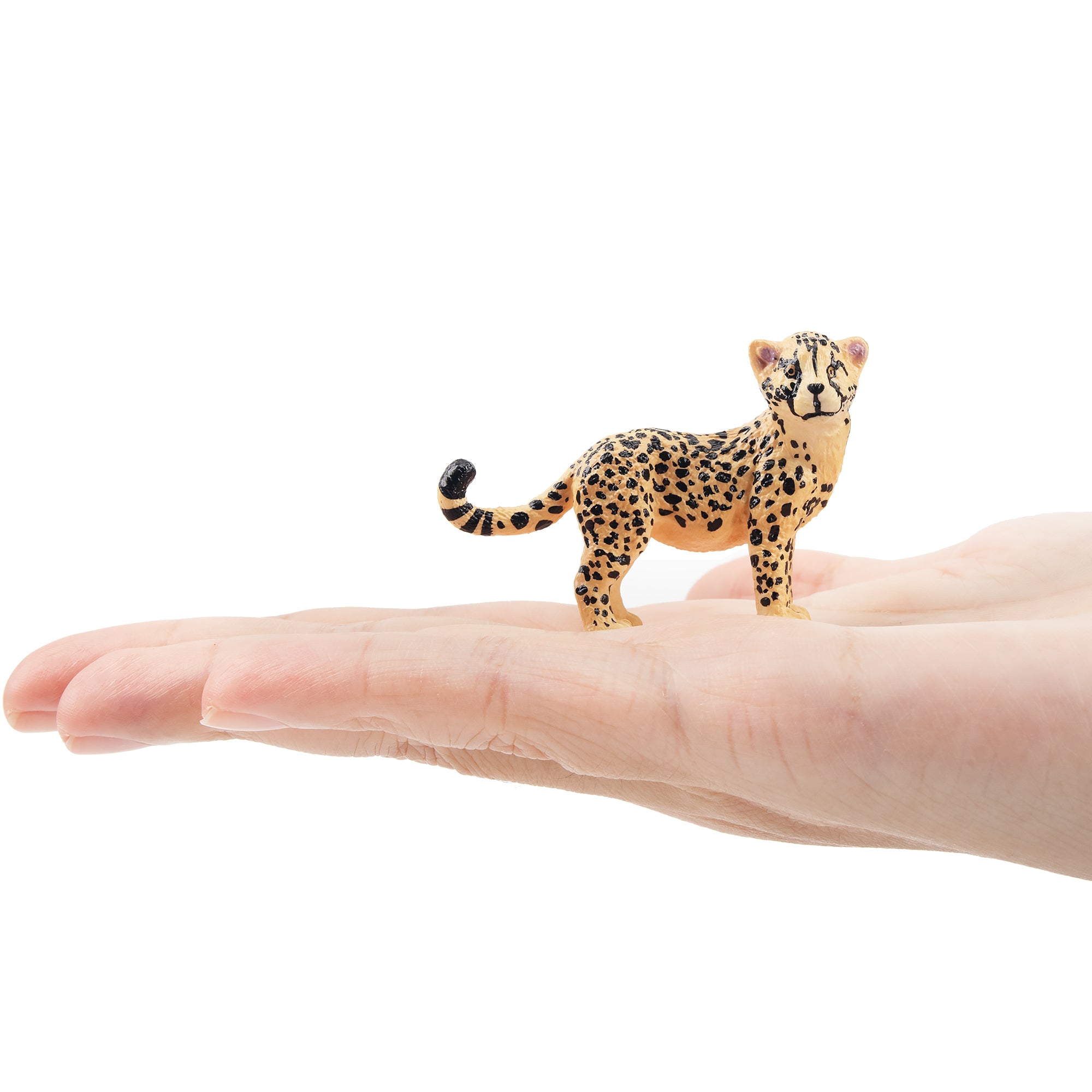 Toymany Cheetah Cub Figurine Toy-on hand