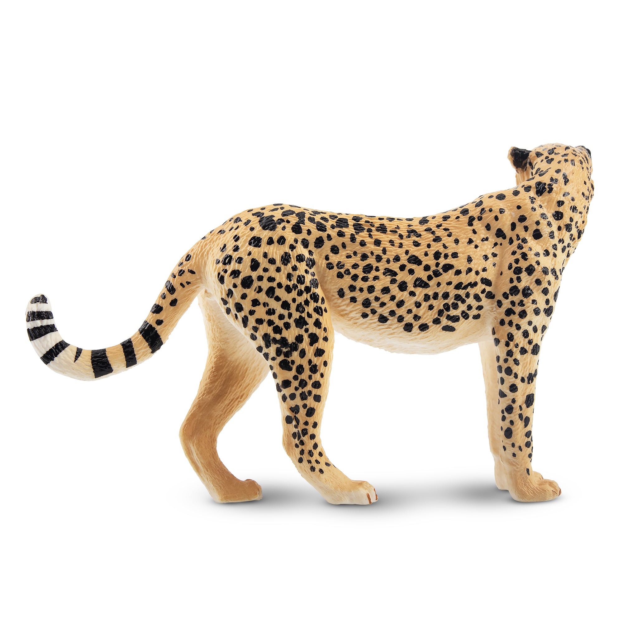 Toymany Cheetah Figurine Toy-2