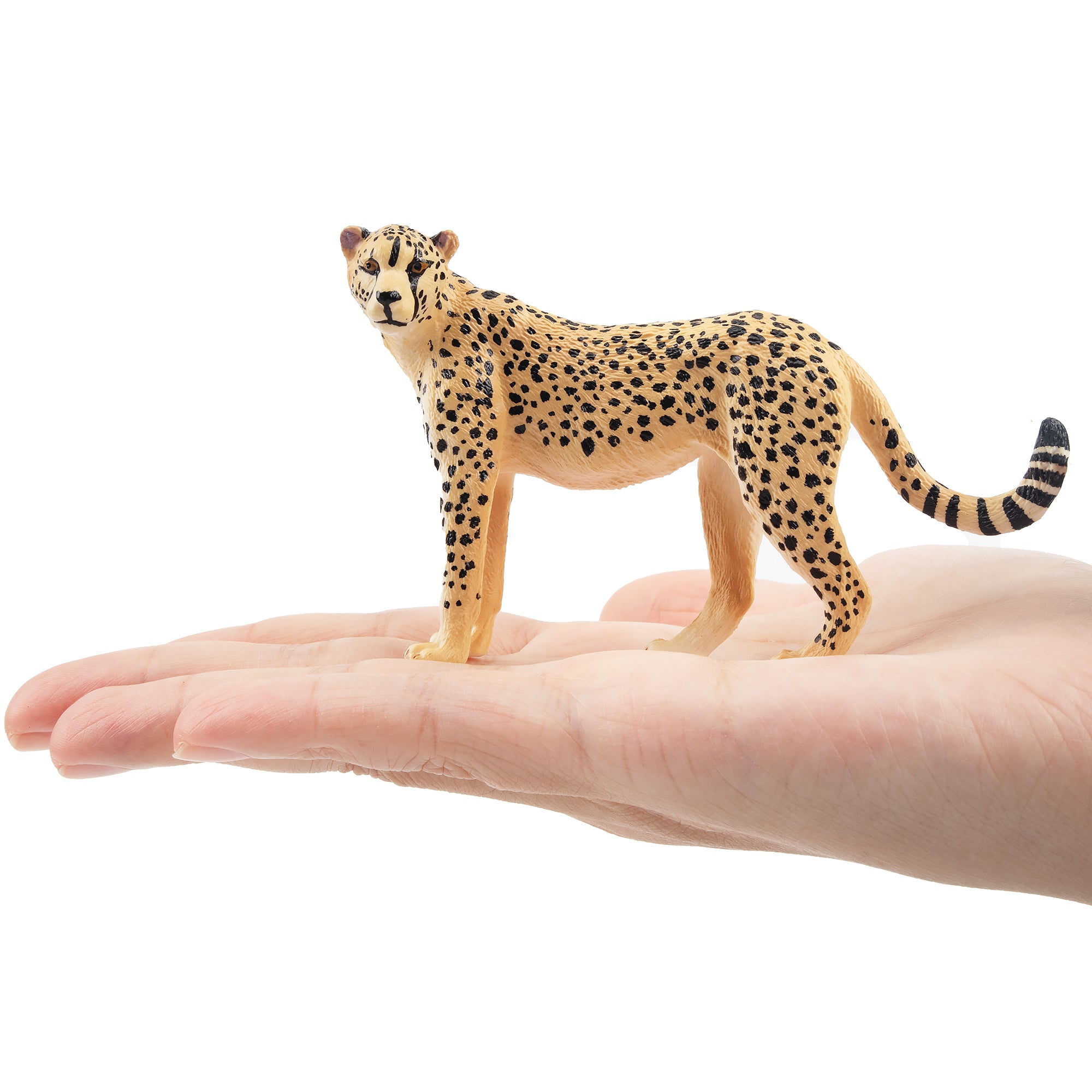 Toymany Cheetah Figurine Toy-on hand