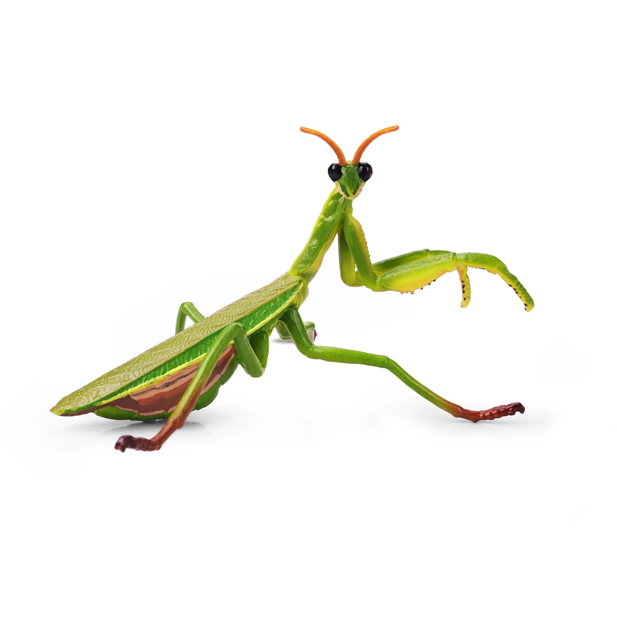 Toymany Chinese Mantis Figurine Toy