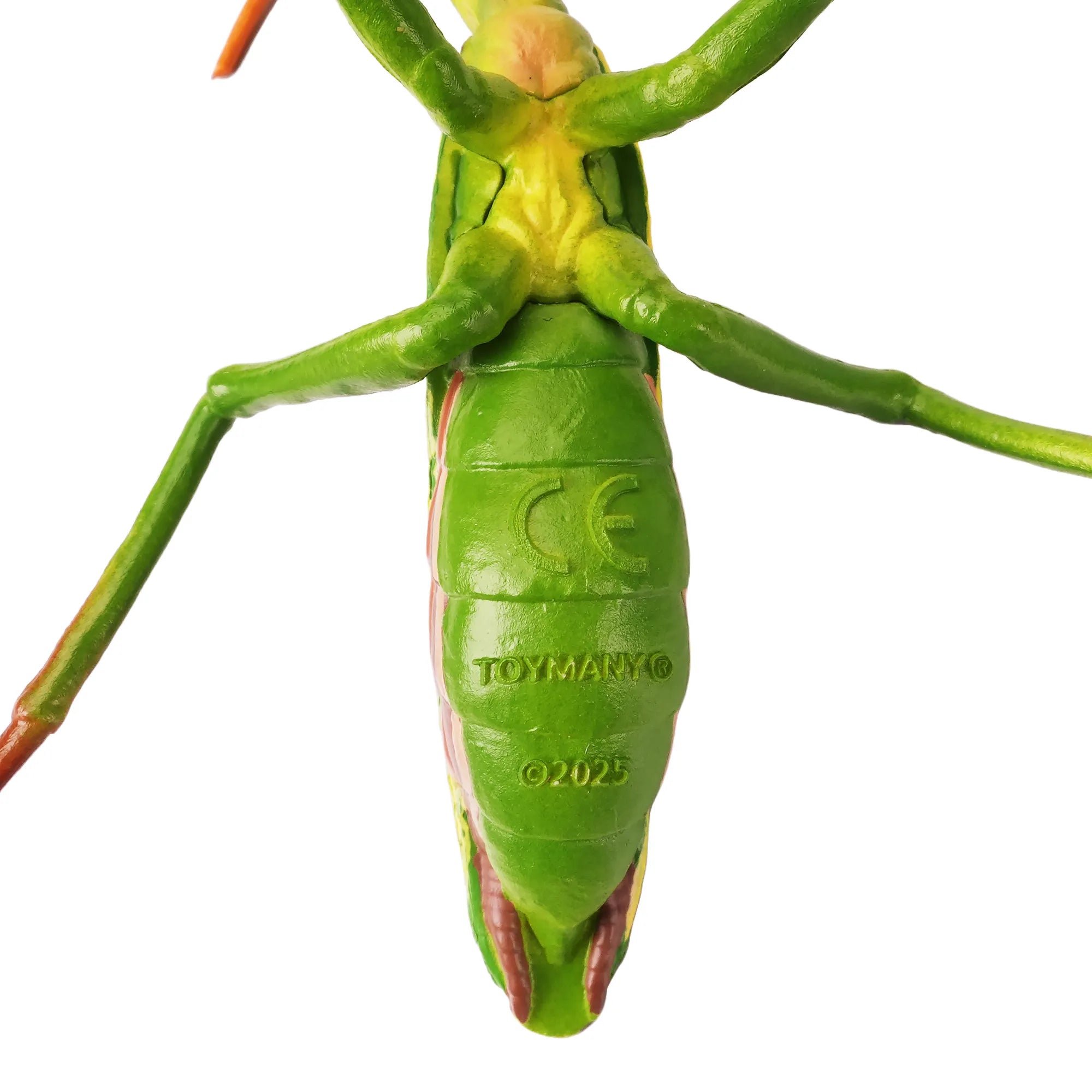 Toymany Chinese Mantis Figurine Toy