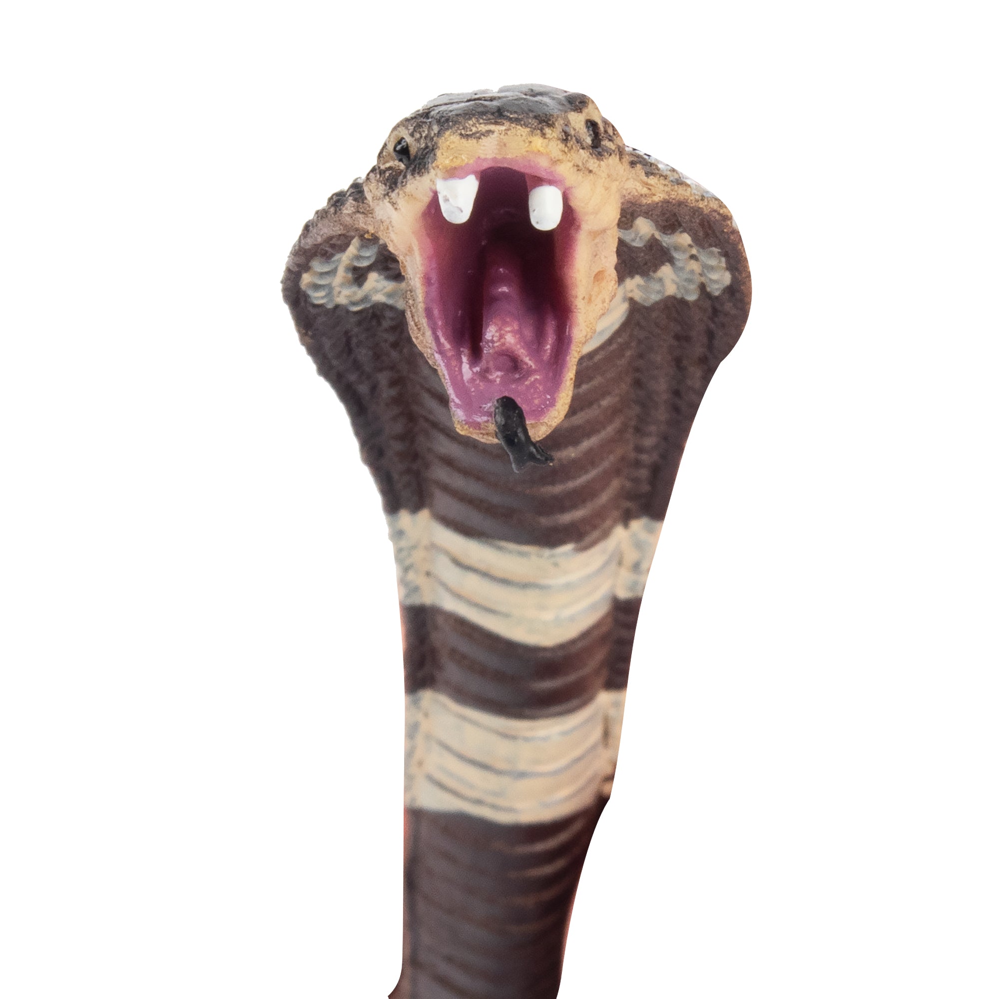 Toymany Cobra Figurine Toy-detail