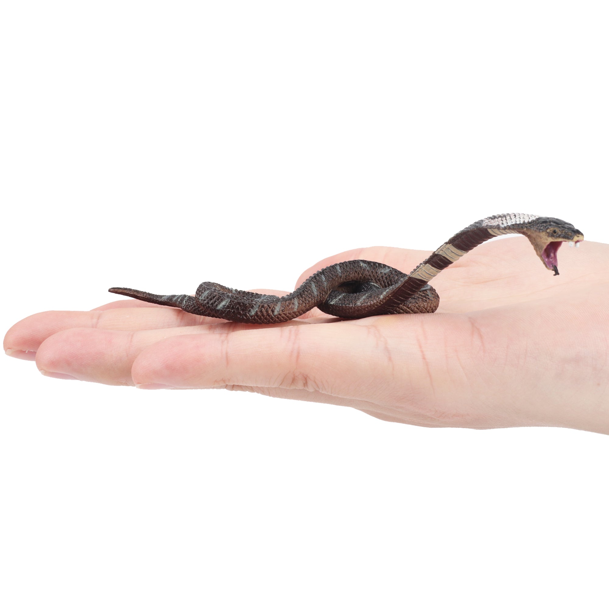 Toymany Reptile Realm Series - Authentic Reptile Figurines