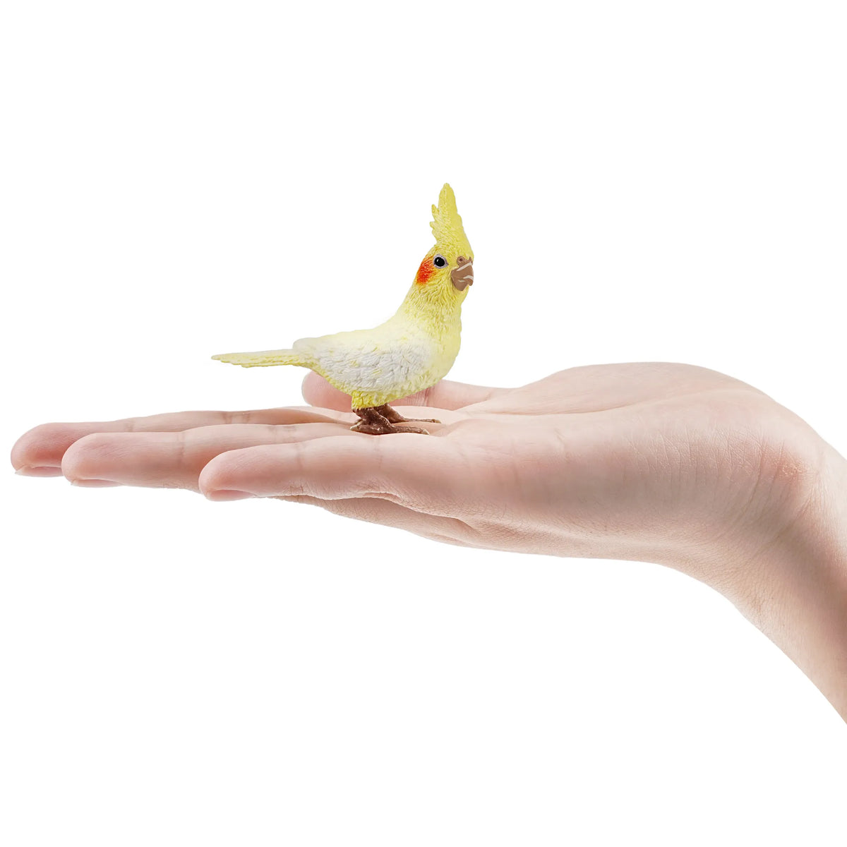 Toymany Cockatiel Figurine Toy-on hand