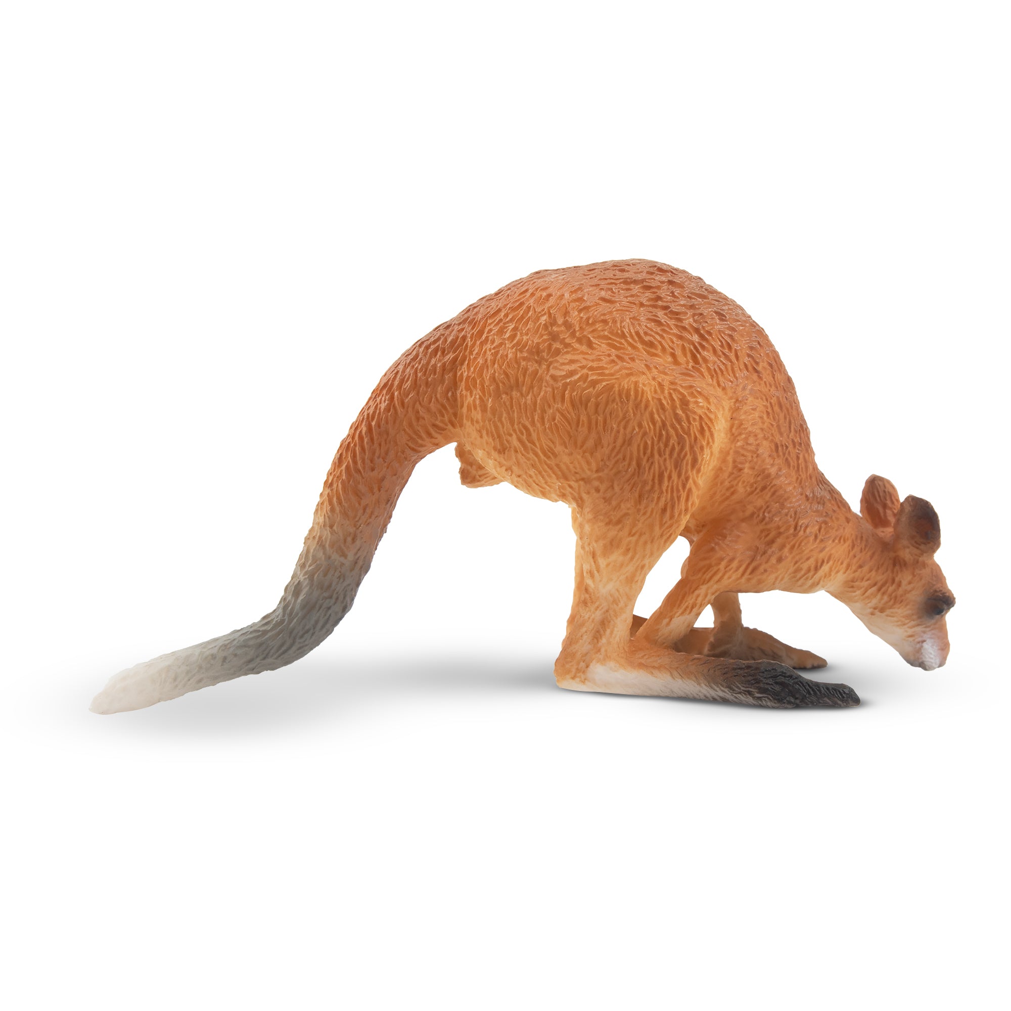 Toymany Crouching Kangaroo-2