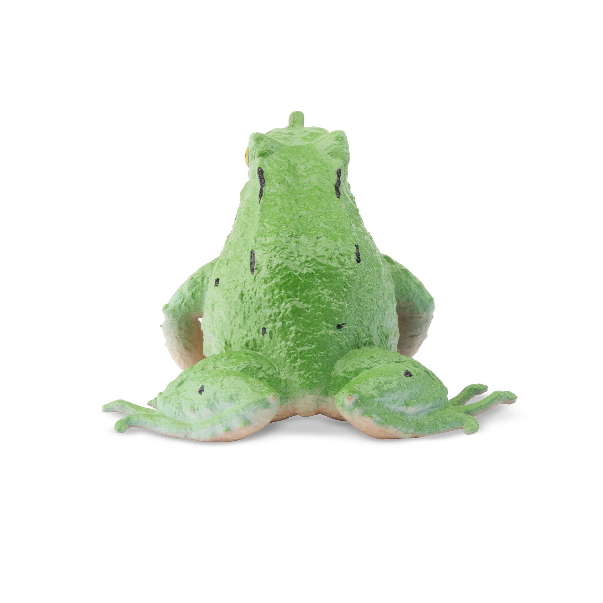 Toymany Darwin's Frog Figurine Toy-back