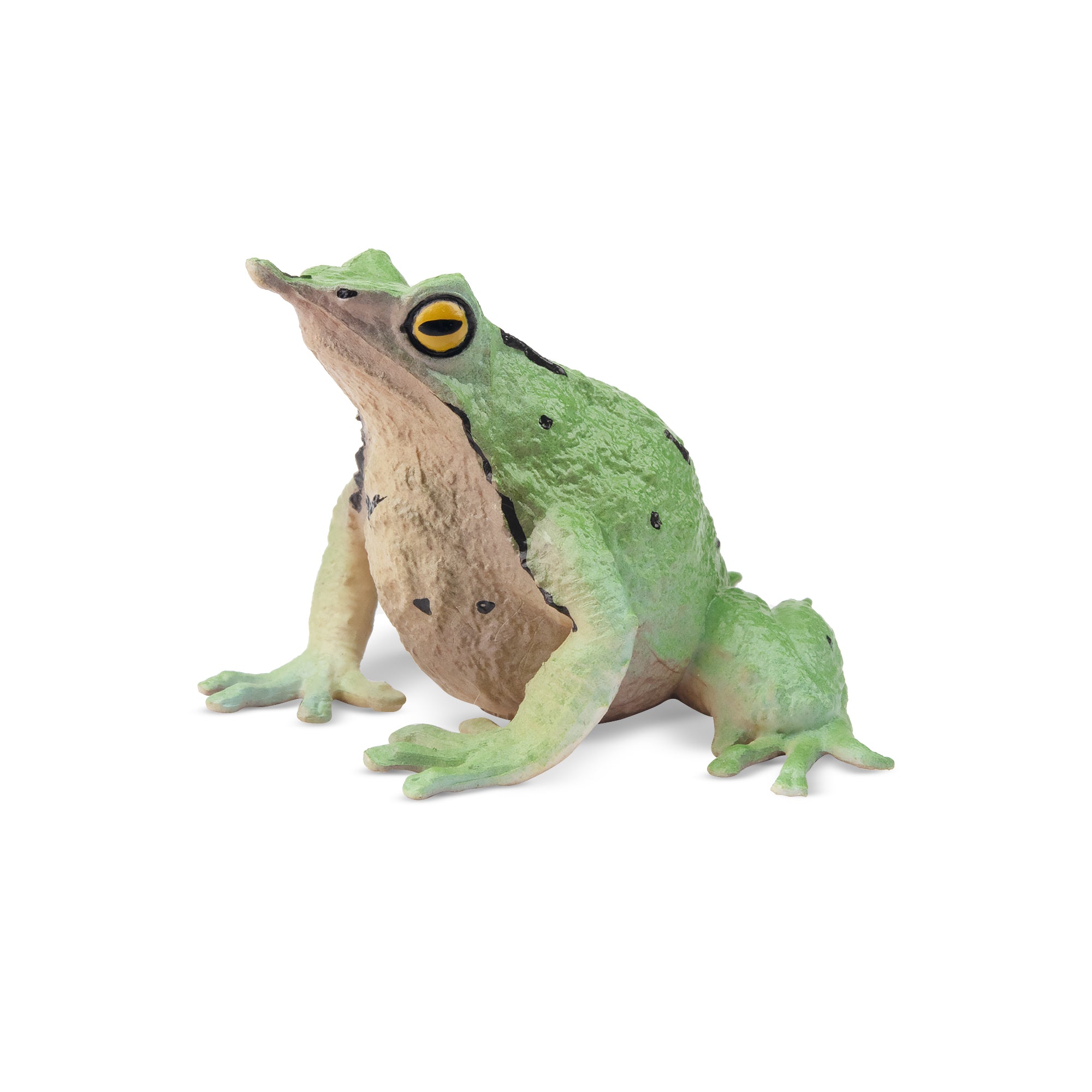 Toymany Darwin's Frog Figurine Toy