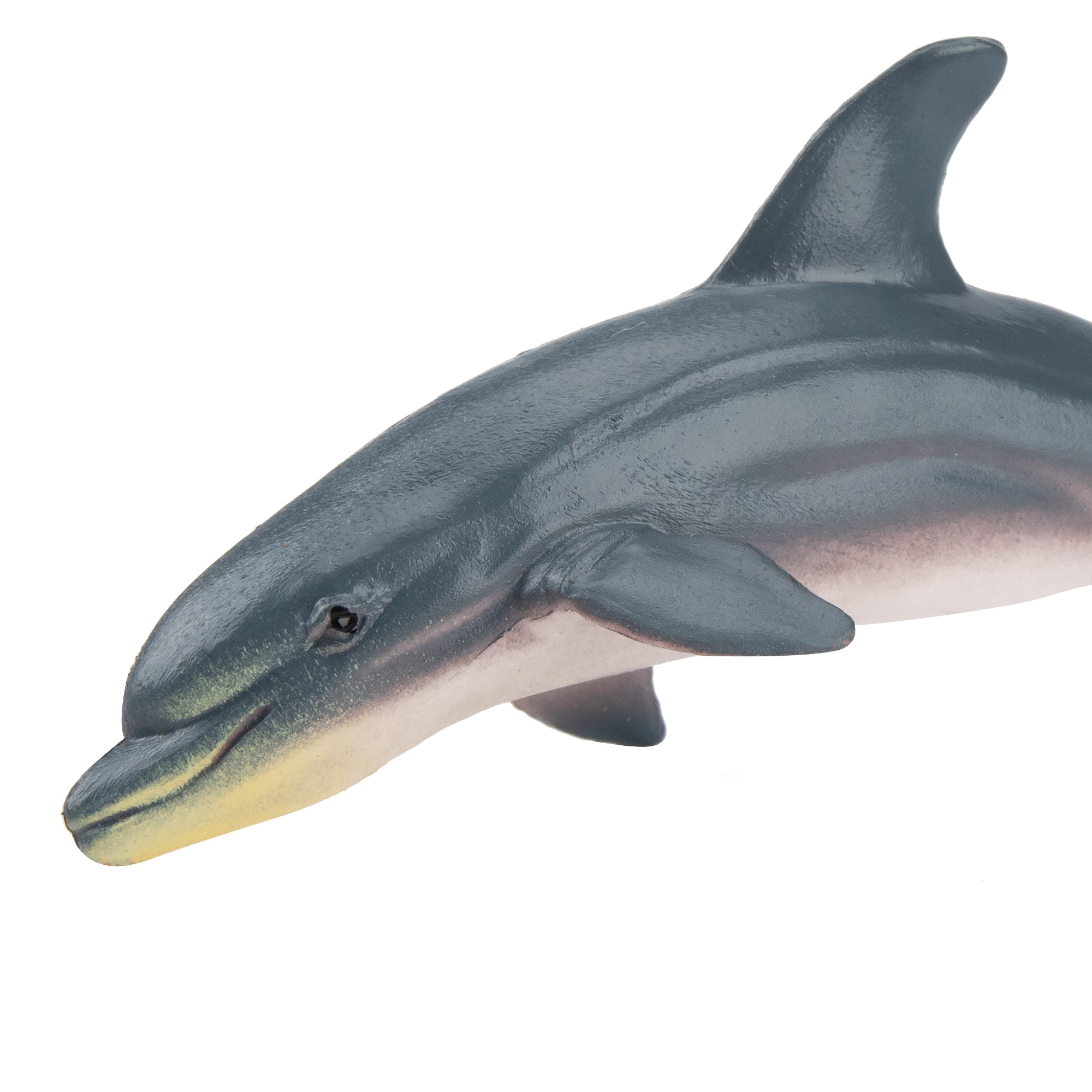 Toymany Dolphin Figurine Toy-detail