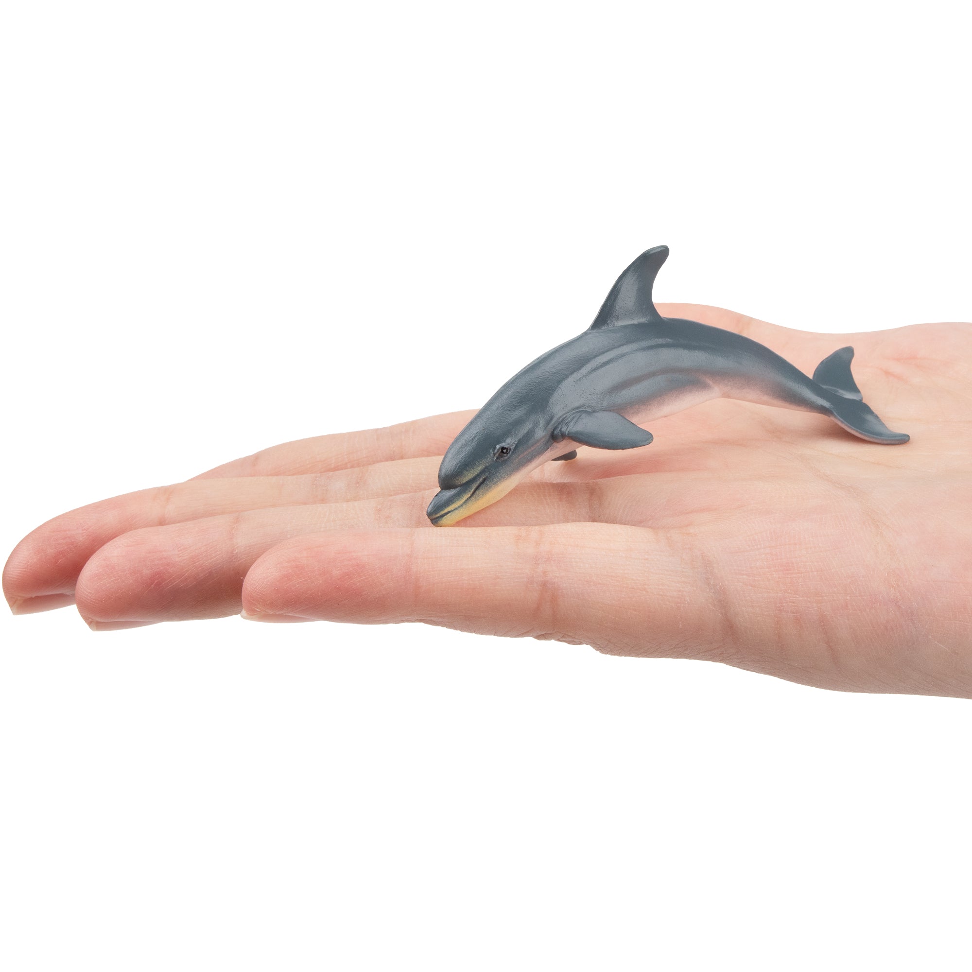 Toymany Dolphin Figurine Toy-on hand