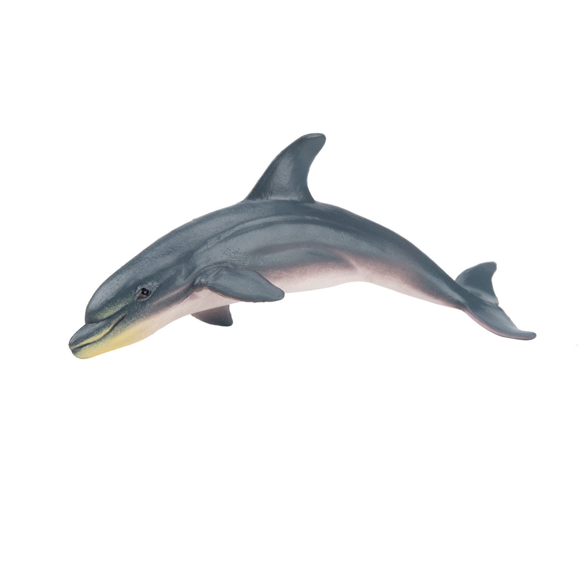 Toymany Dolphin Figurine Toy