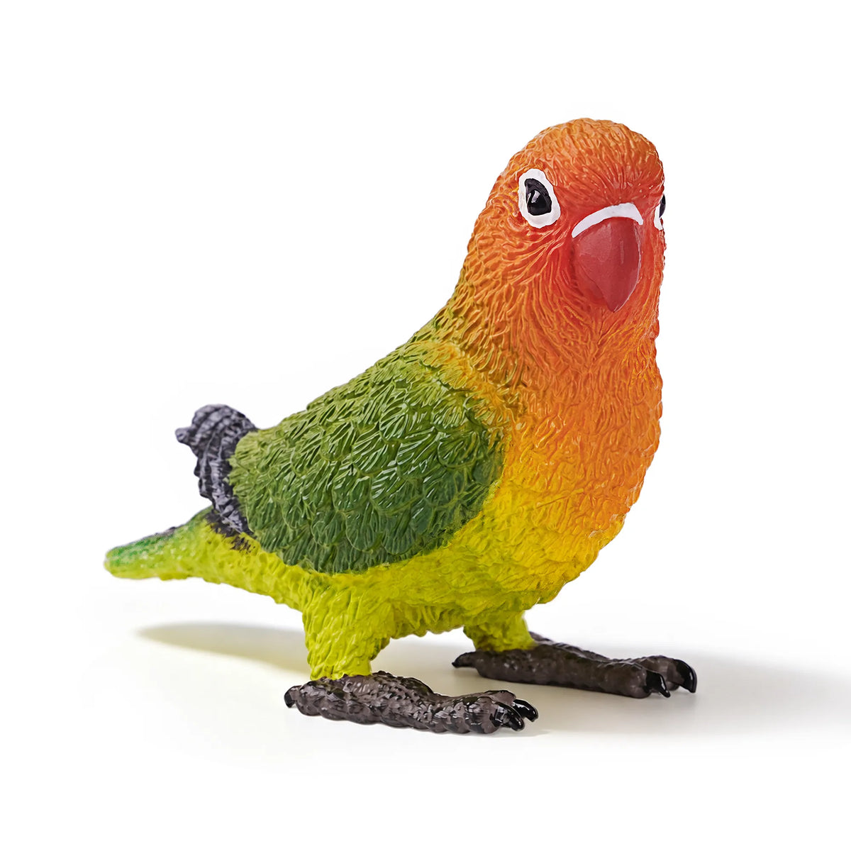 Toymany Fischer's Lovebird Figurine Toy-1