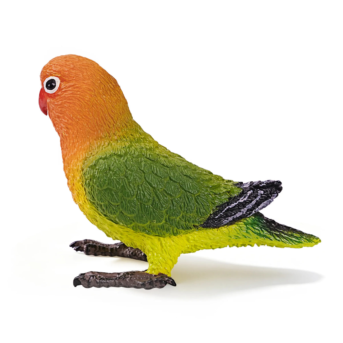 Toymany Fischer's Lovebird Figurine Toy-4