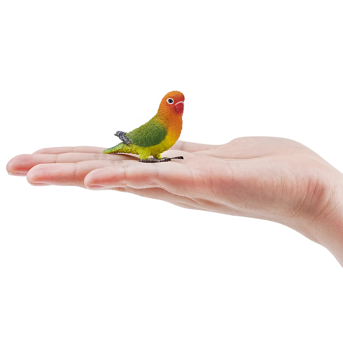Toymany Fischer's Lovebird Figurine Toy-on hand