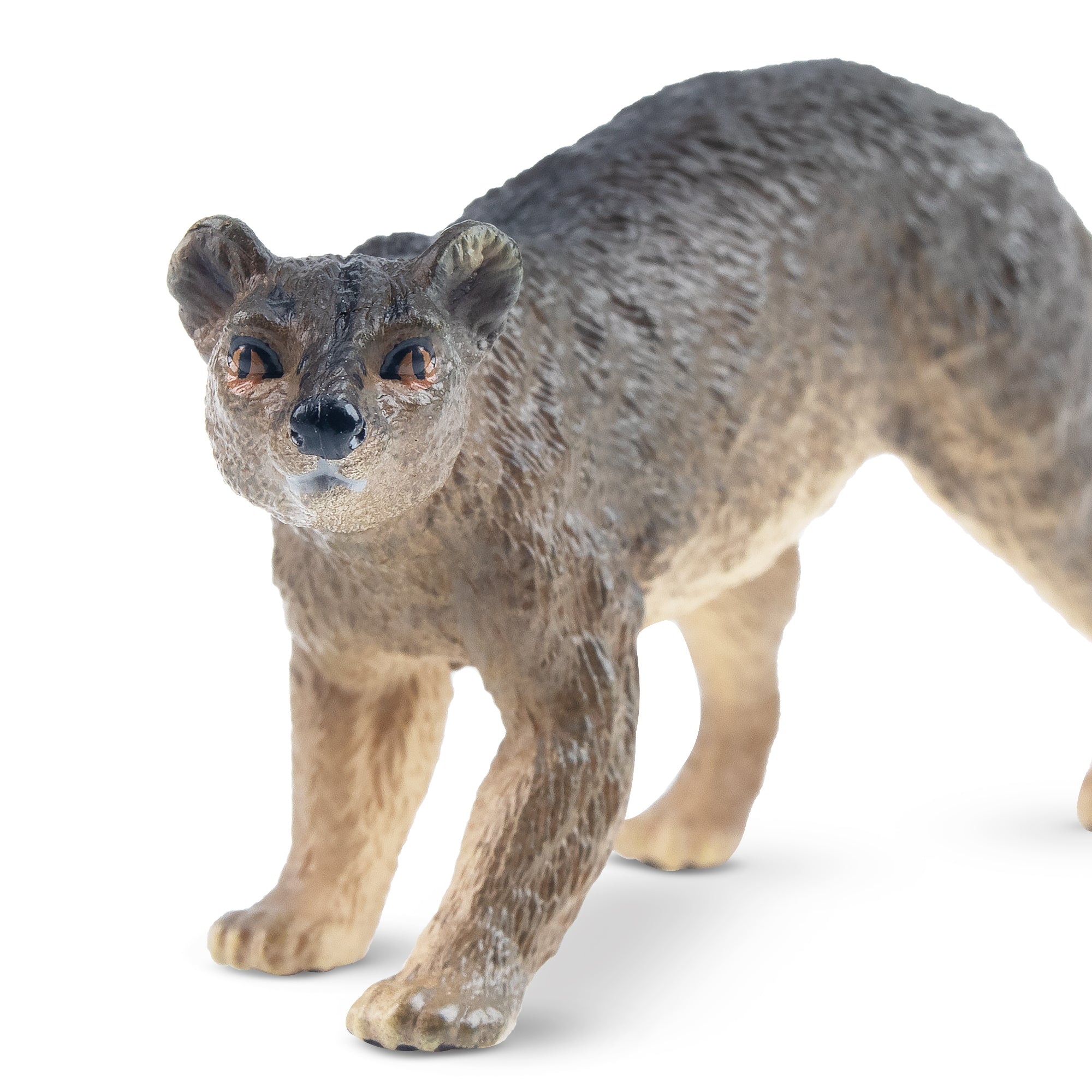 Toymany Fossa Figurine Toy-4