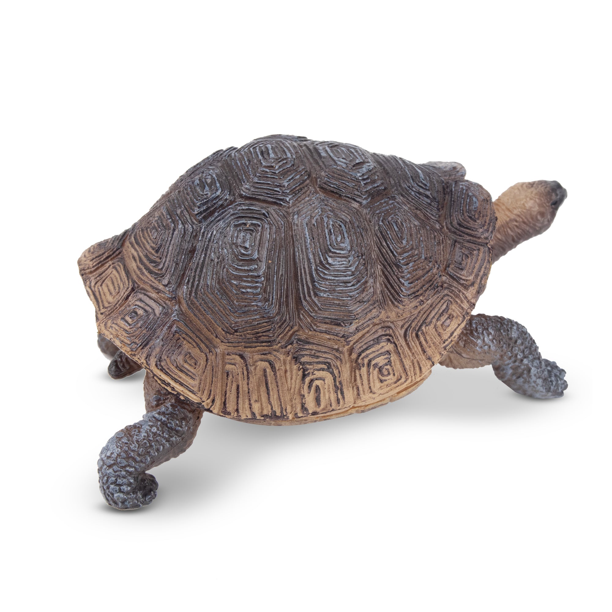 Toymany Galapagos Tortoise Figurine Toy-2