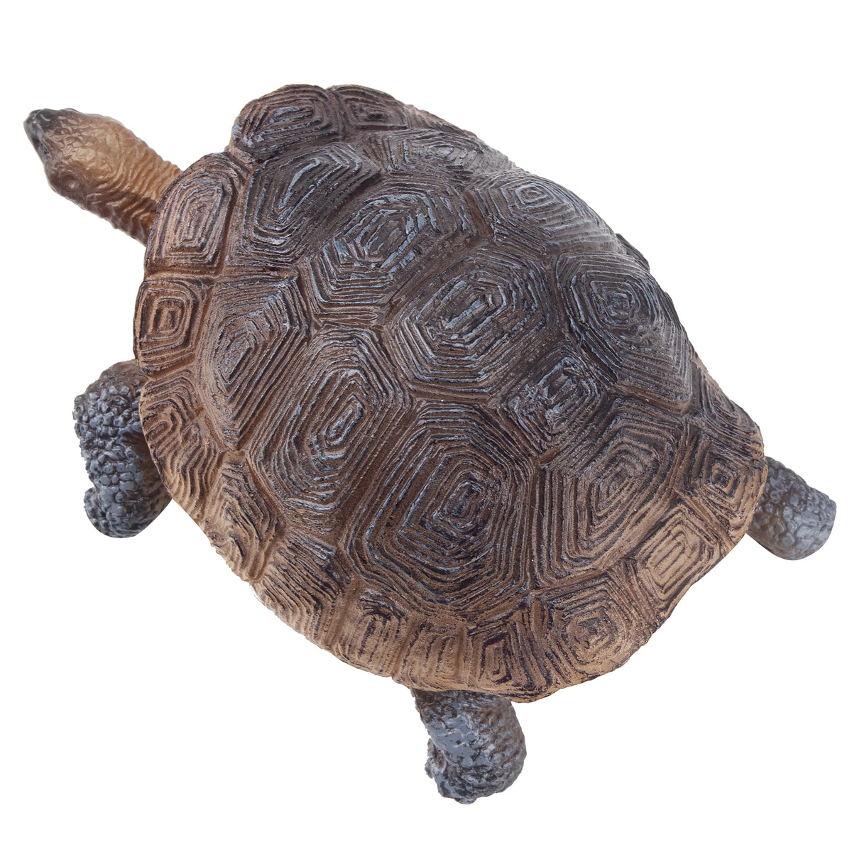 Toymany Galapagos Tortoise Figurine | Realistic Animal Figurine Toy