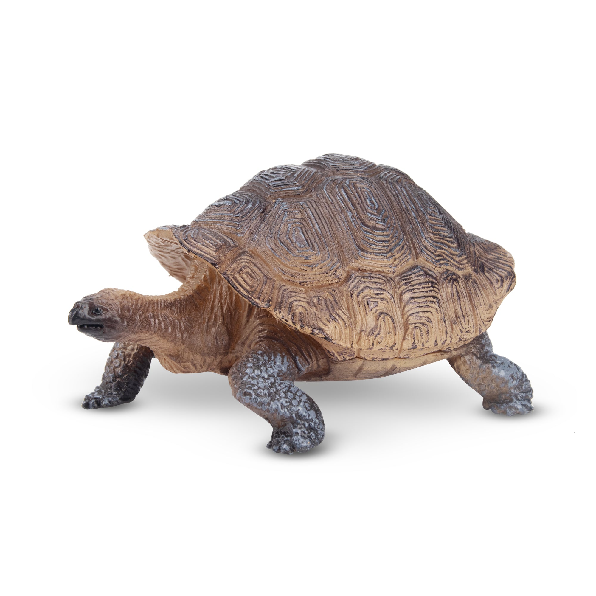 Toymany Galapagos Tortoise Figurine Toy