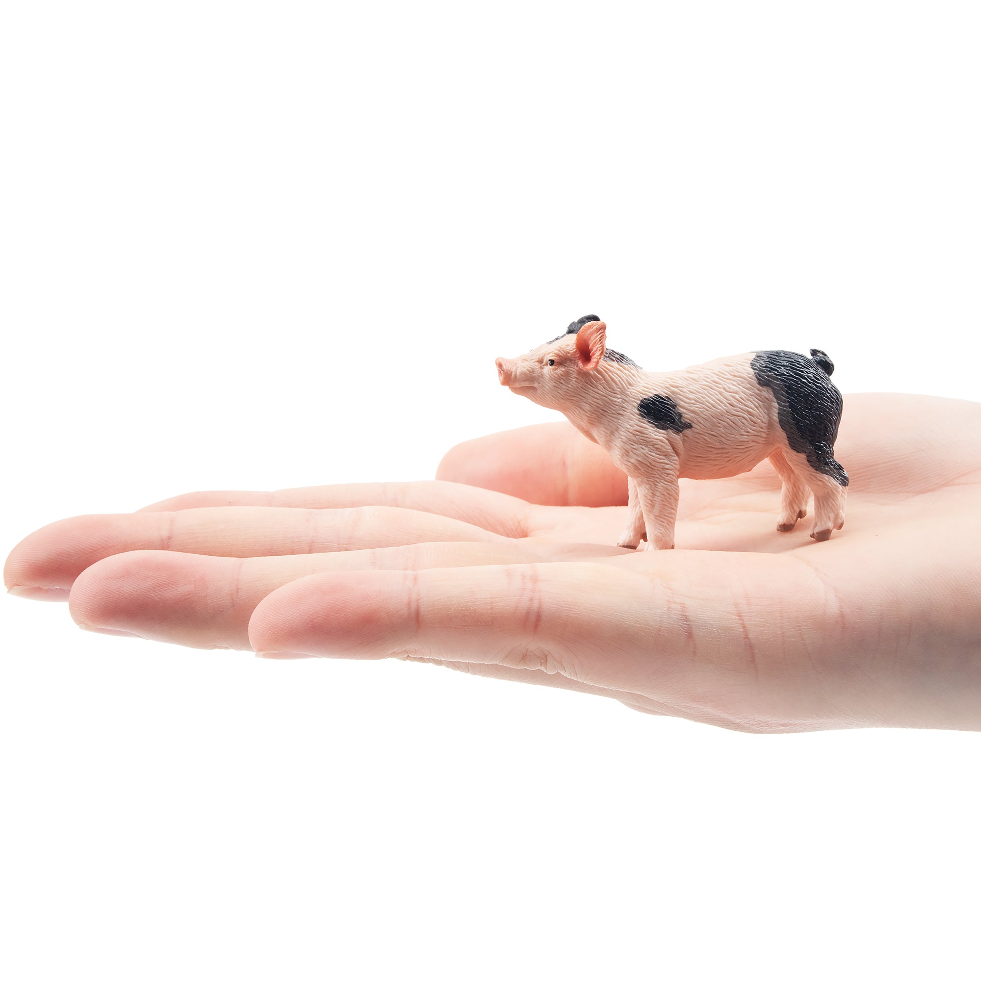 Toymany Gazing Grey Piglet Figurine Toy-on hand