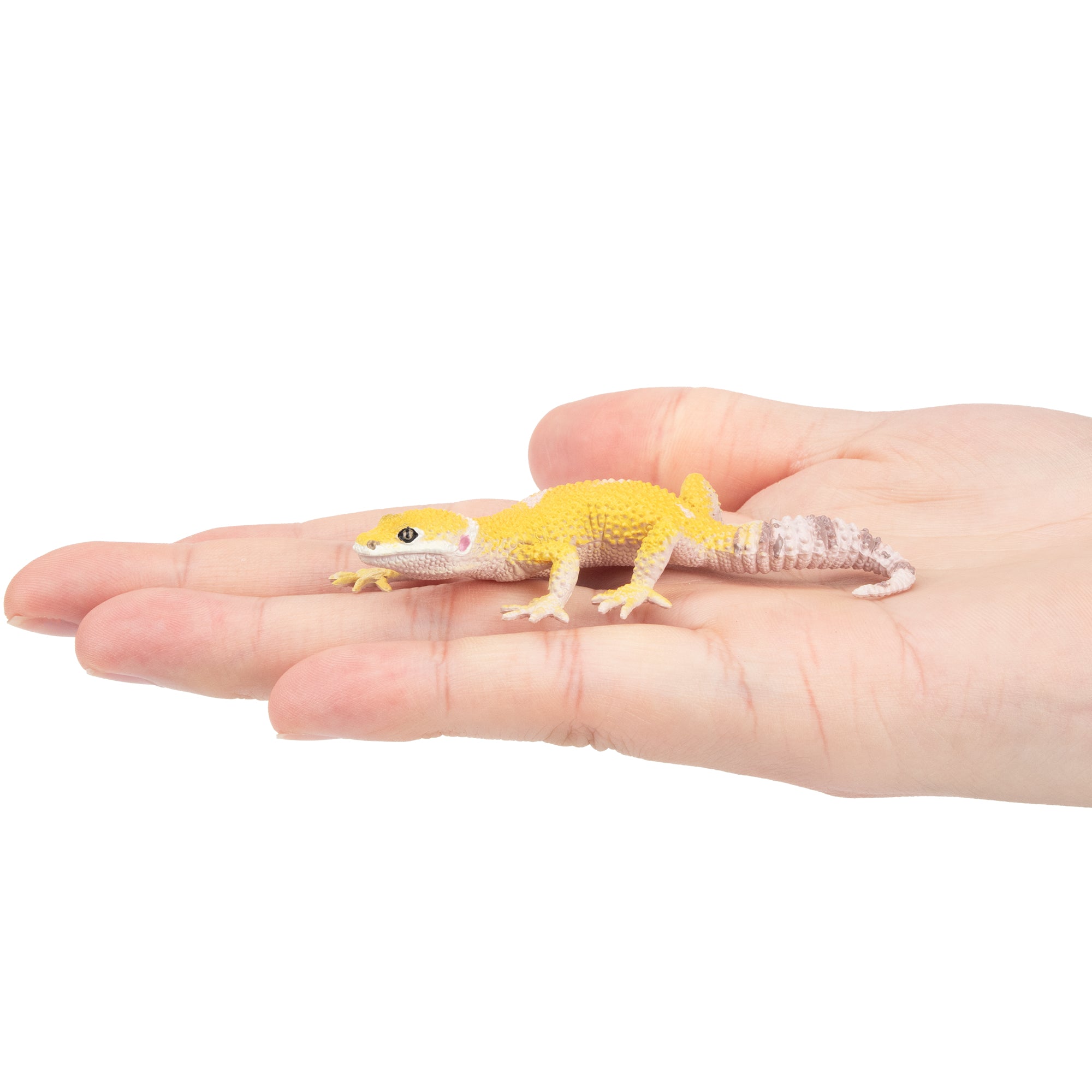 Toymany Gecko Figurine Toy-on hand