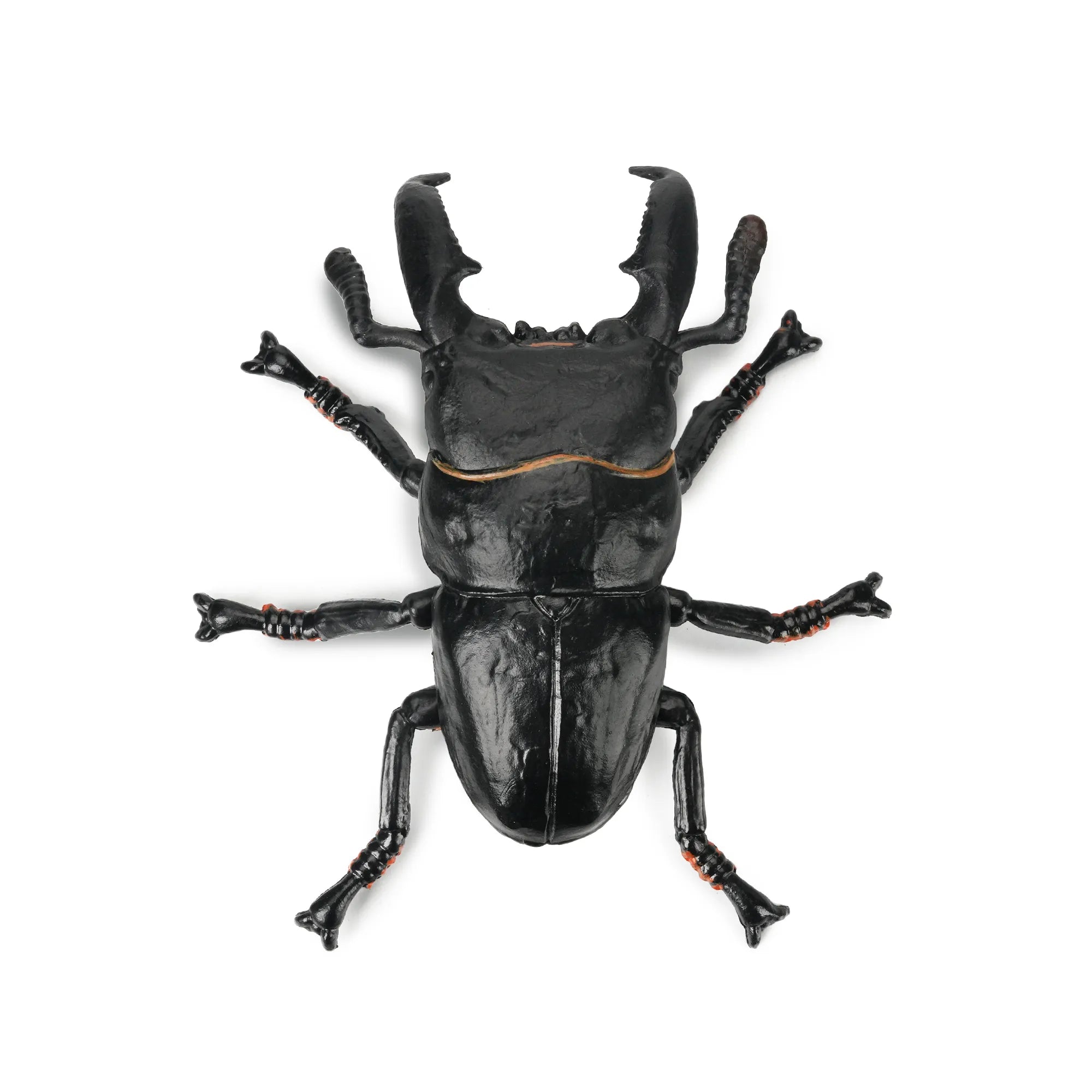 Toymany Giant Stag Beetle Figurine Toy
