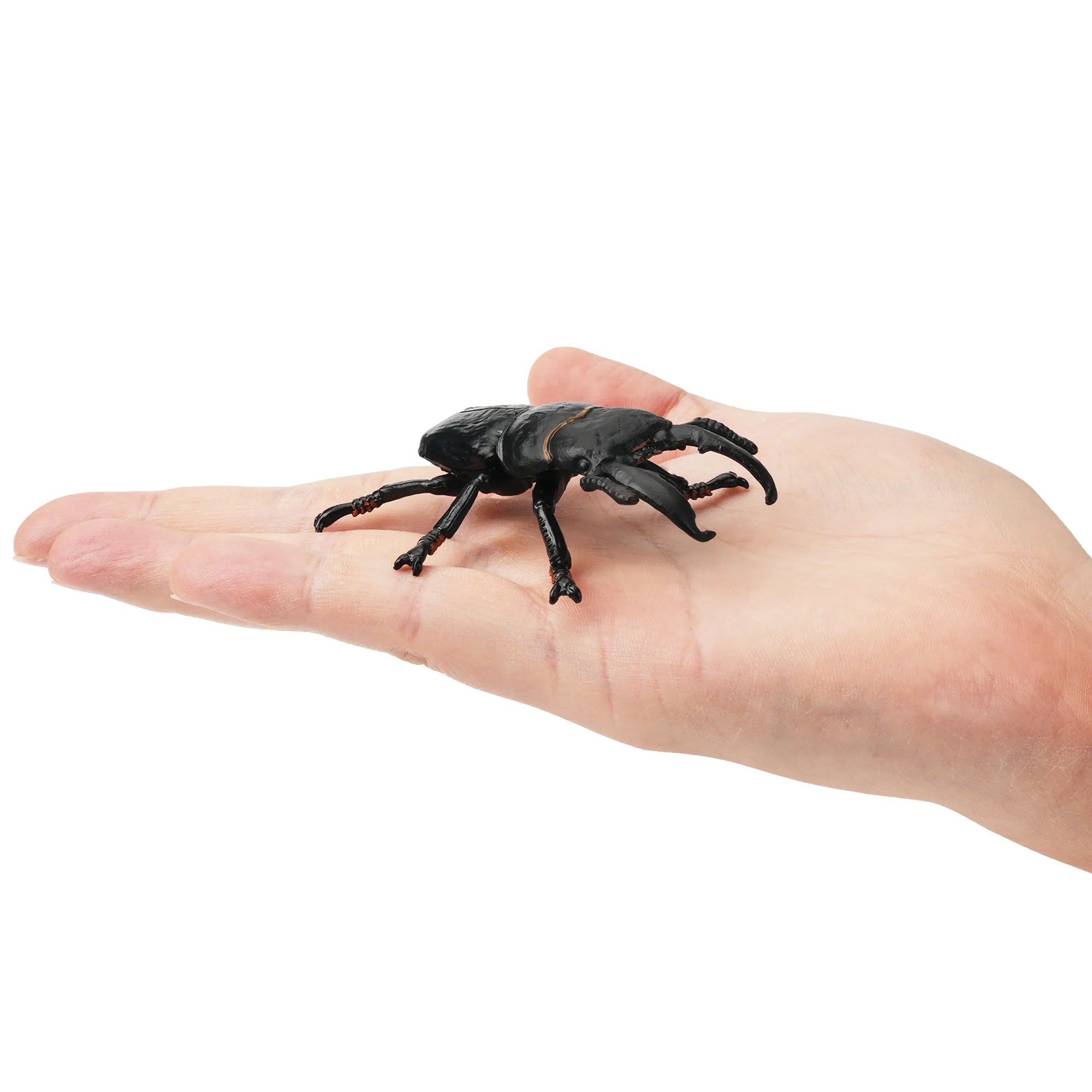 Toymany Giant Stag Beetle Figurine Toy