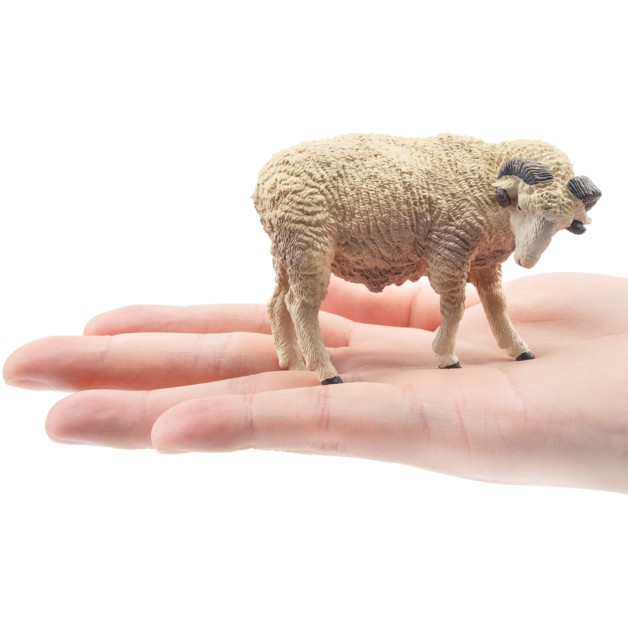Toymany Grazing Light-Haired Ram Figurine Toy-on hand