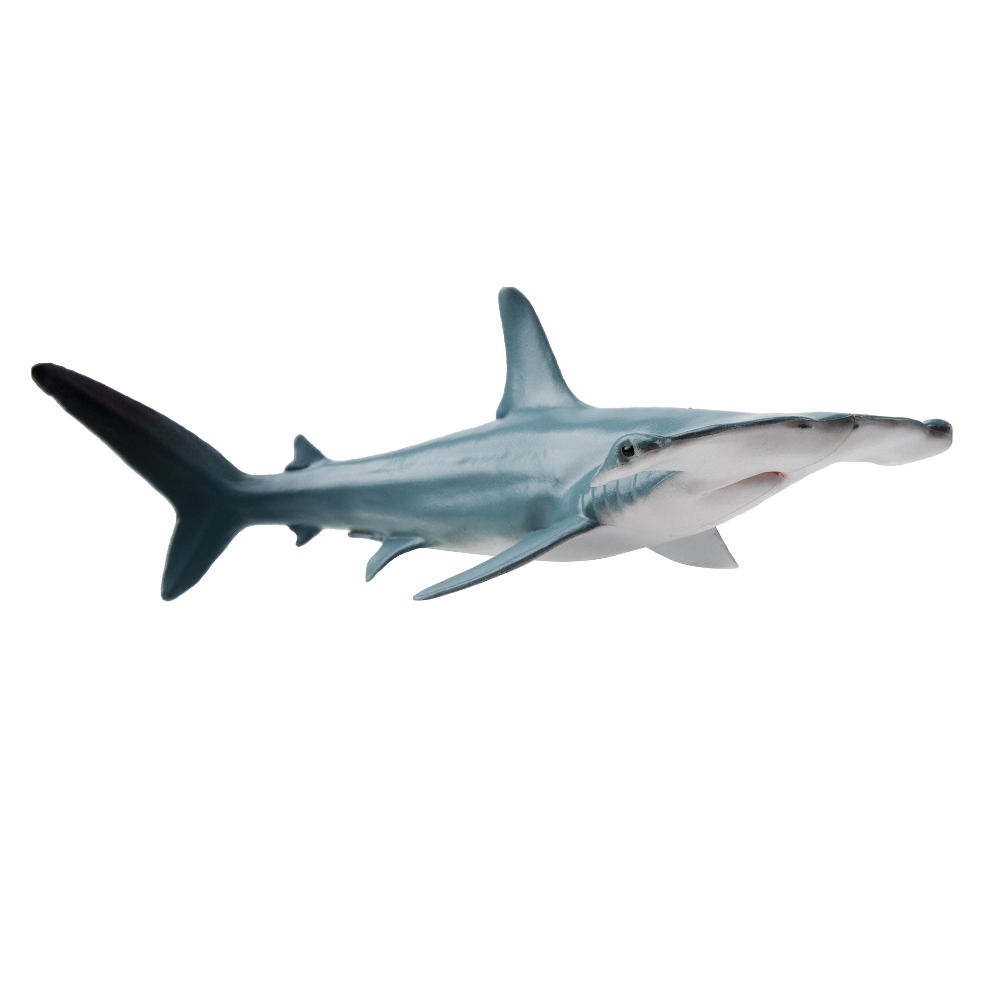 Toymany Great Hammerhead Shark Figurine Toy