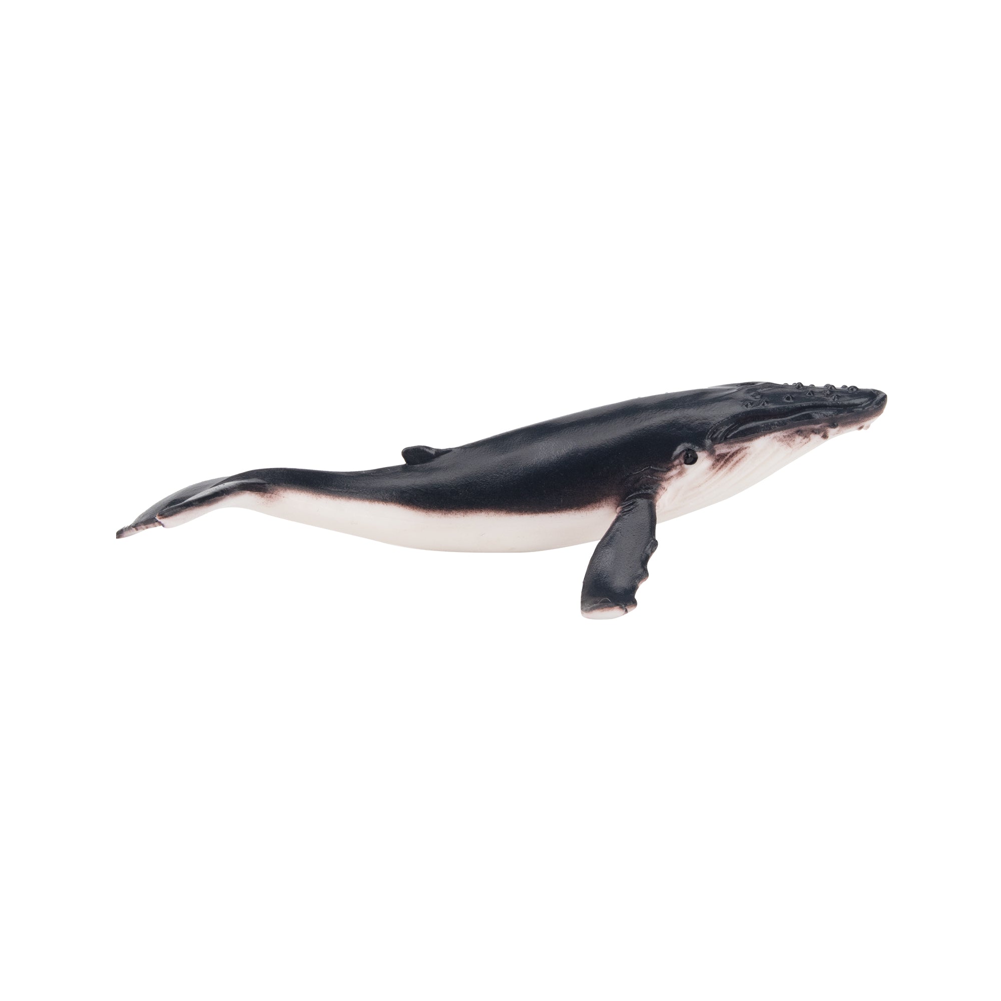 Toymany Humpback Whale Figurine Toy