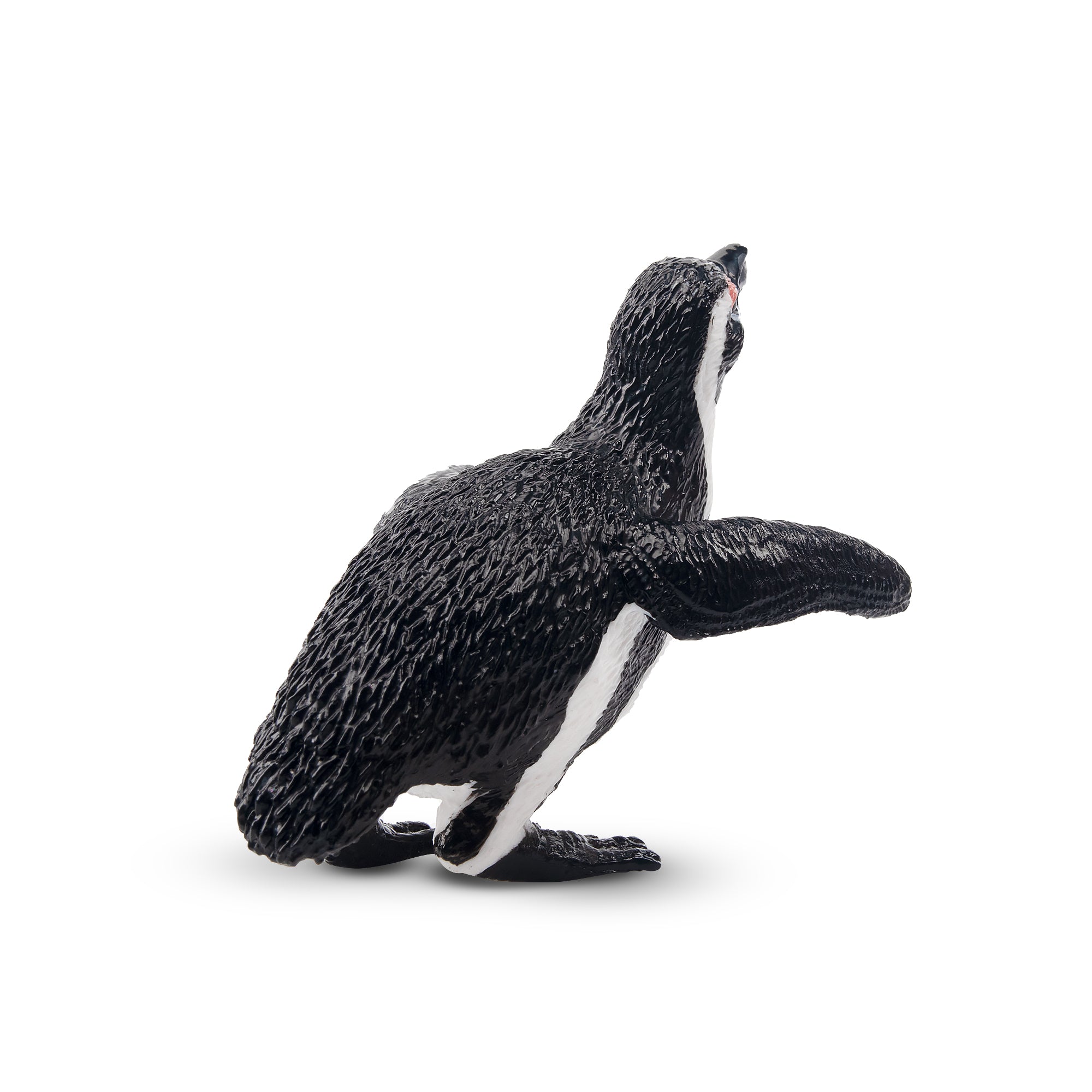Toymany Jackass Penguin Figurine Toy-2