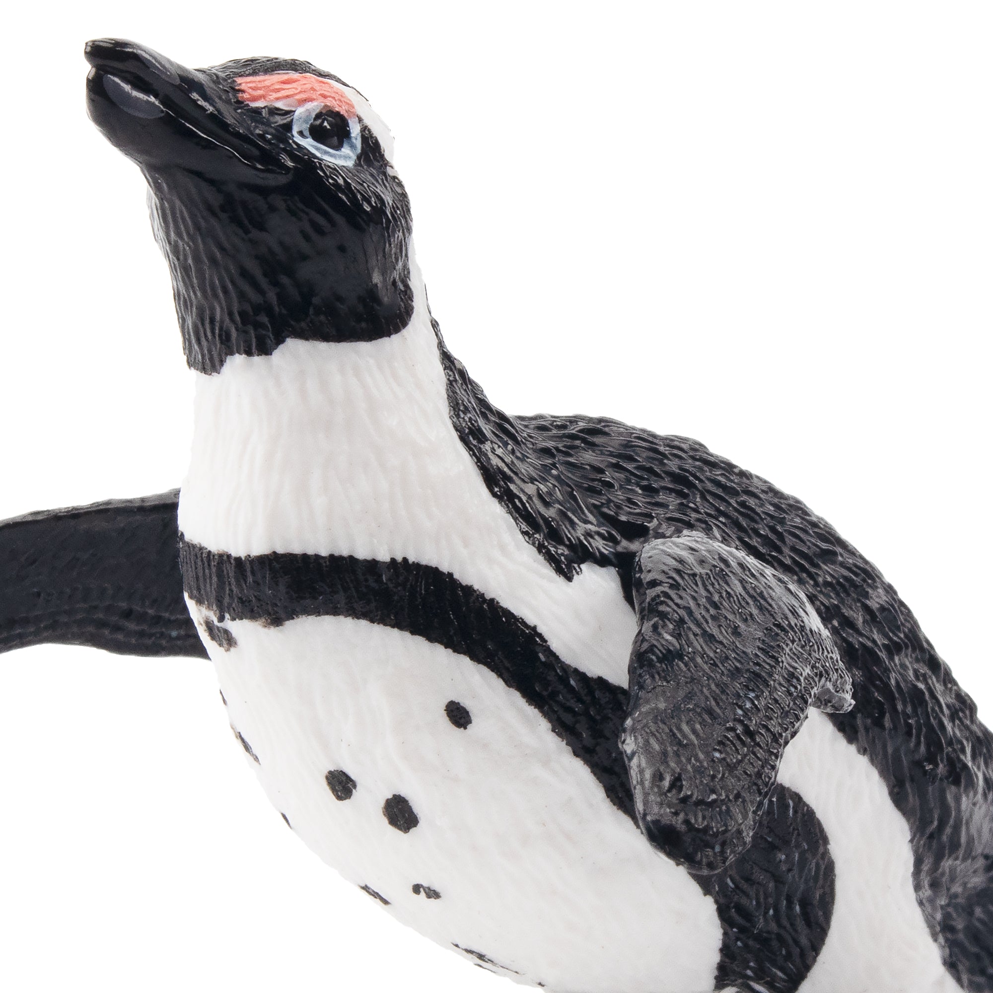 Toymany Jackass Penguin Figurine Toy-detail