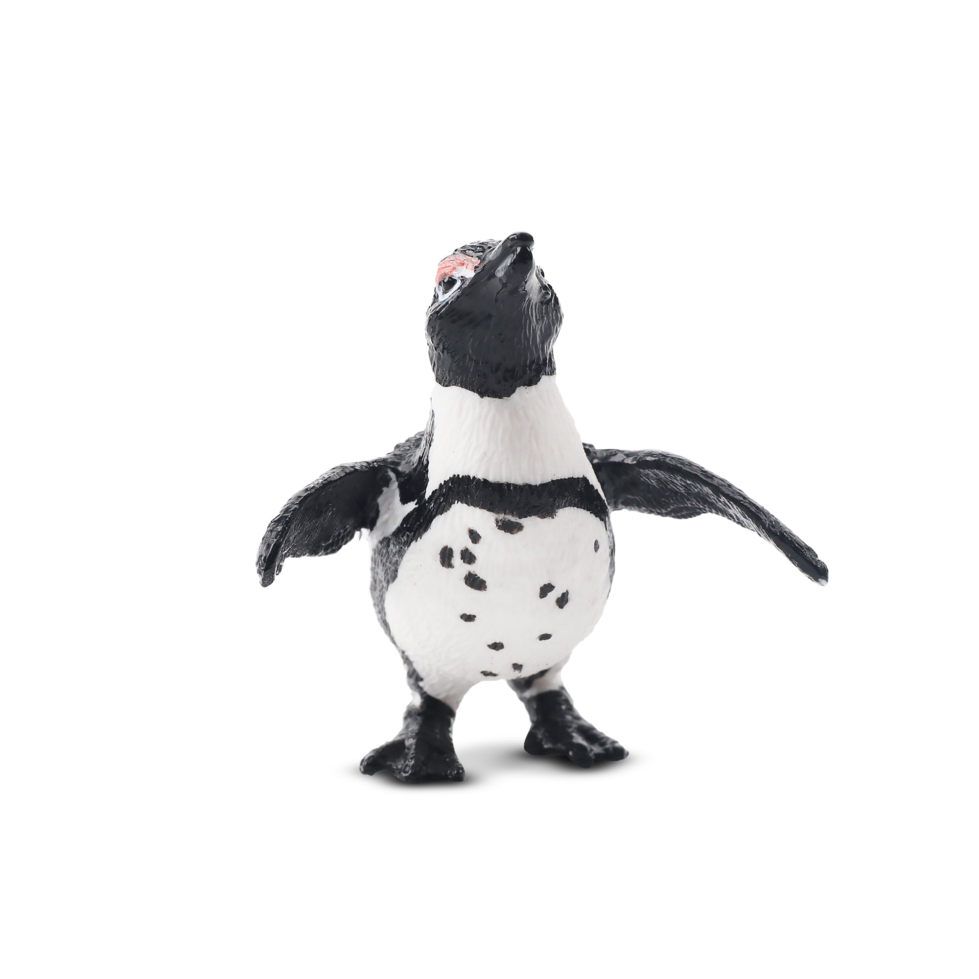 Toymany Jackass Penguin Figurine Toy-front