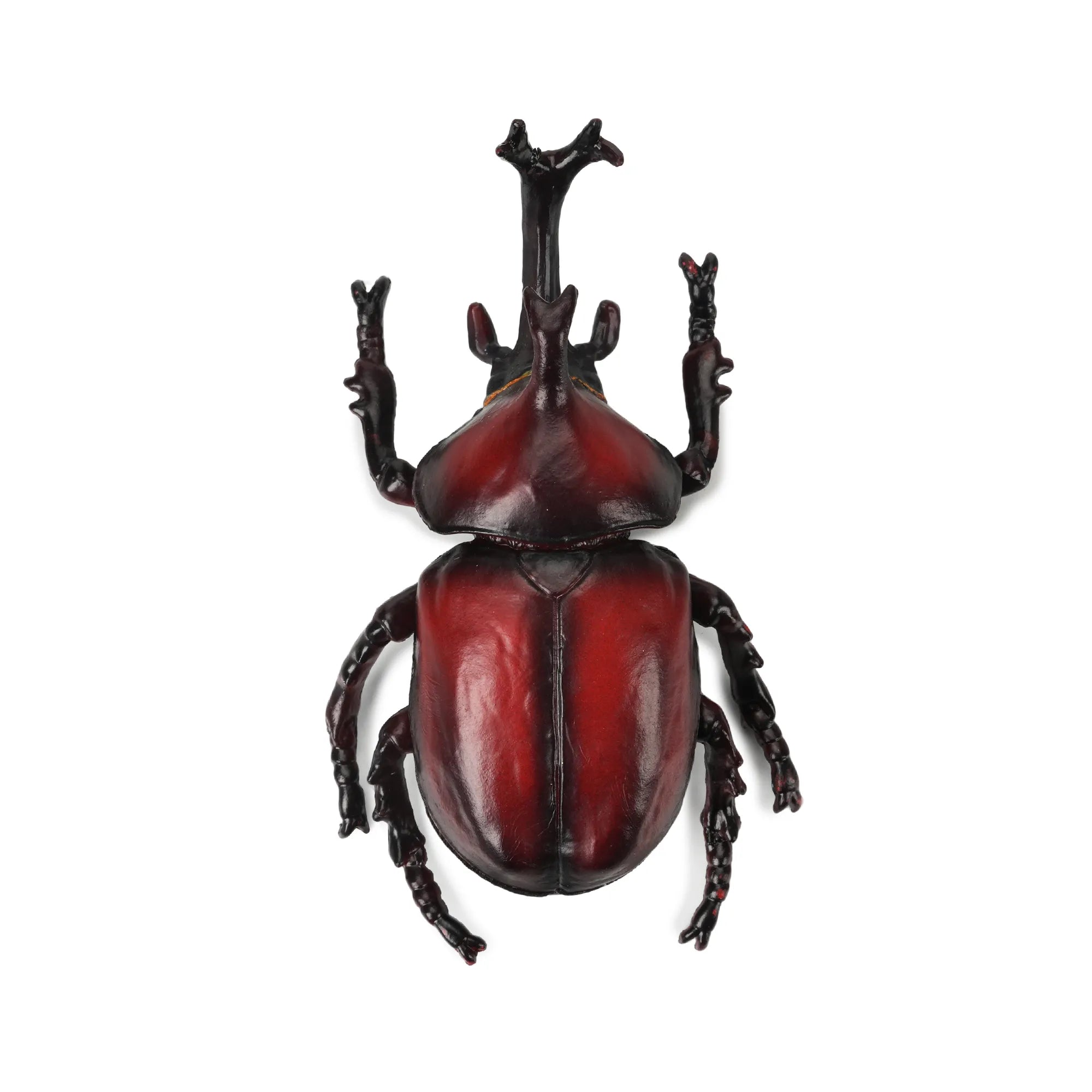 Toymany Japanese Rhinoceros Beetle Figurine Toy
