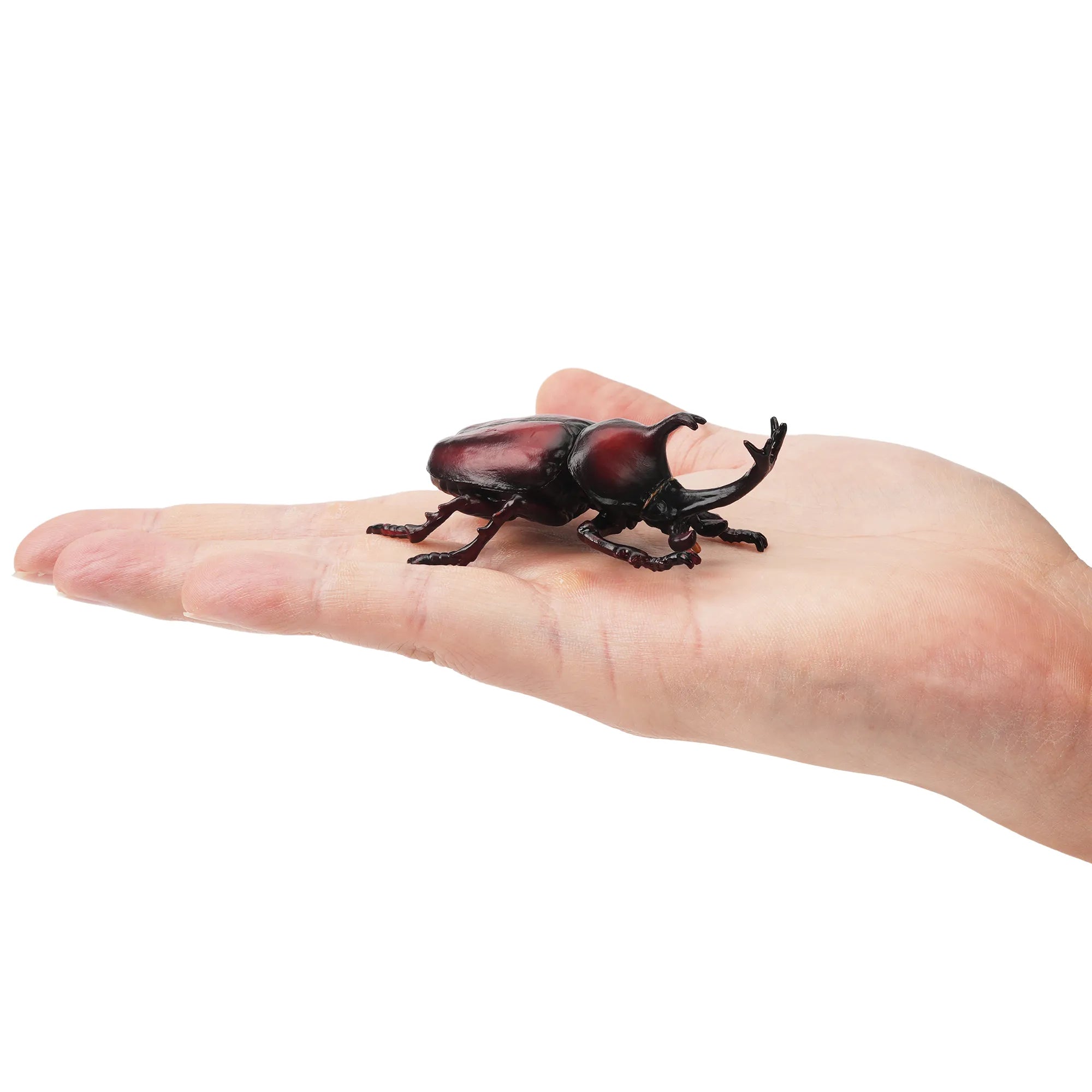 Toymany Japanese Rhinoceros Beetle Figurine Toy