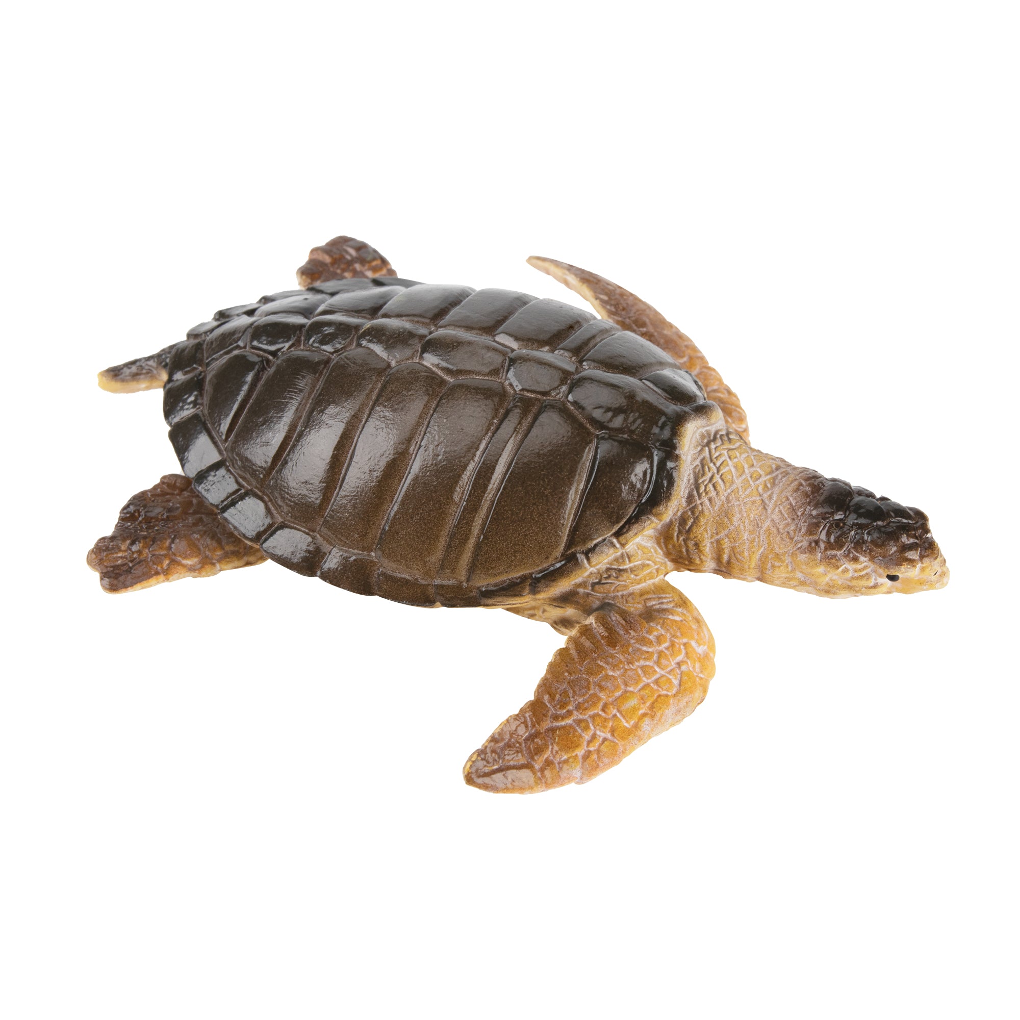 Toymany Kemp's Ridley Sea Turtle Figurine Toy-2