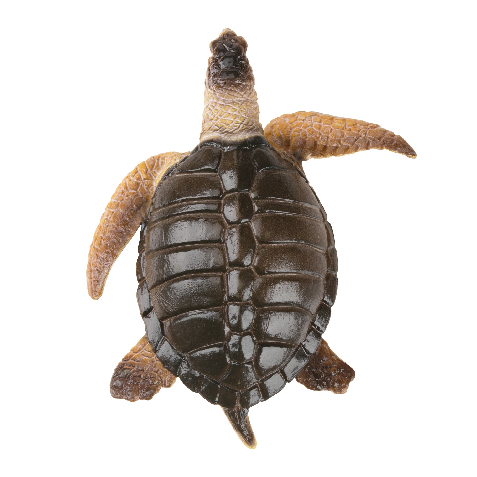 Toymany Kemp's Ridley Sea Turtle Figurine Toy-top