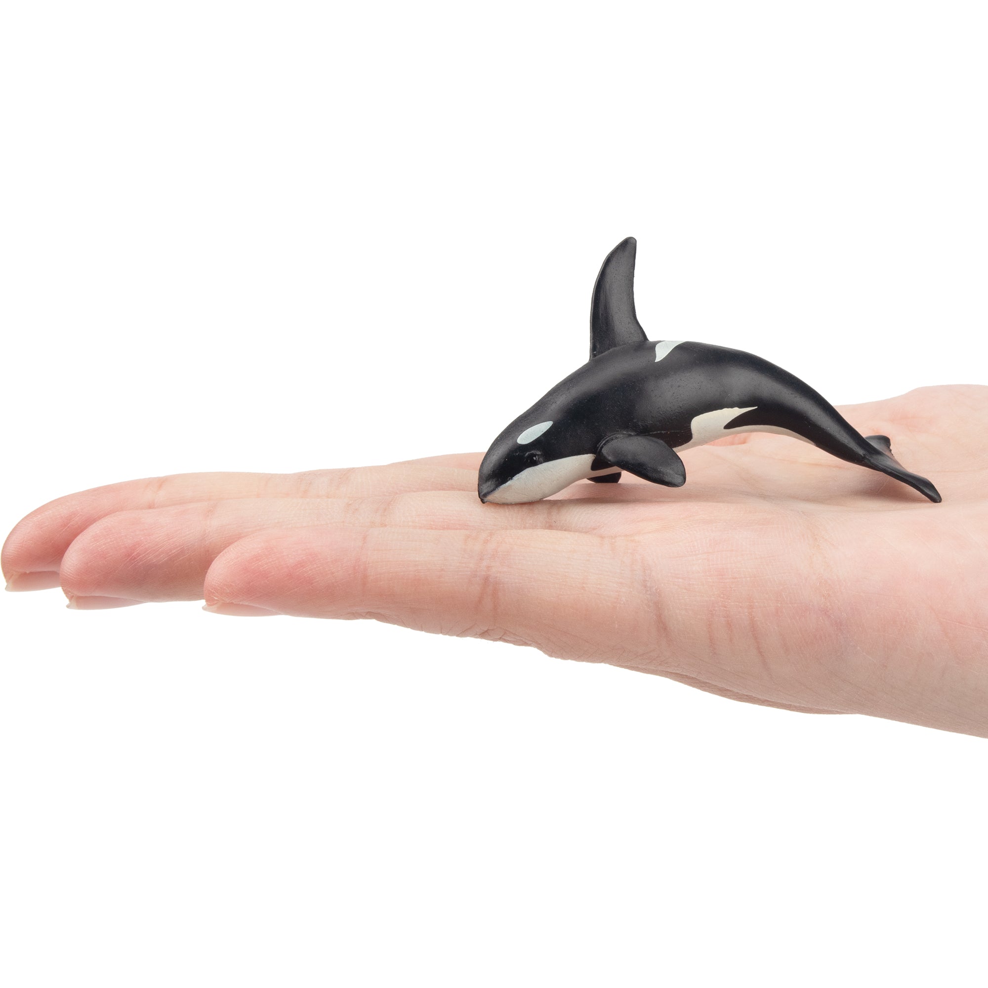 Toymany Killer Whale Figurine Toy-on hand
