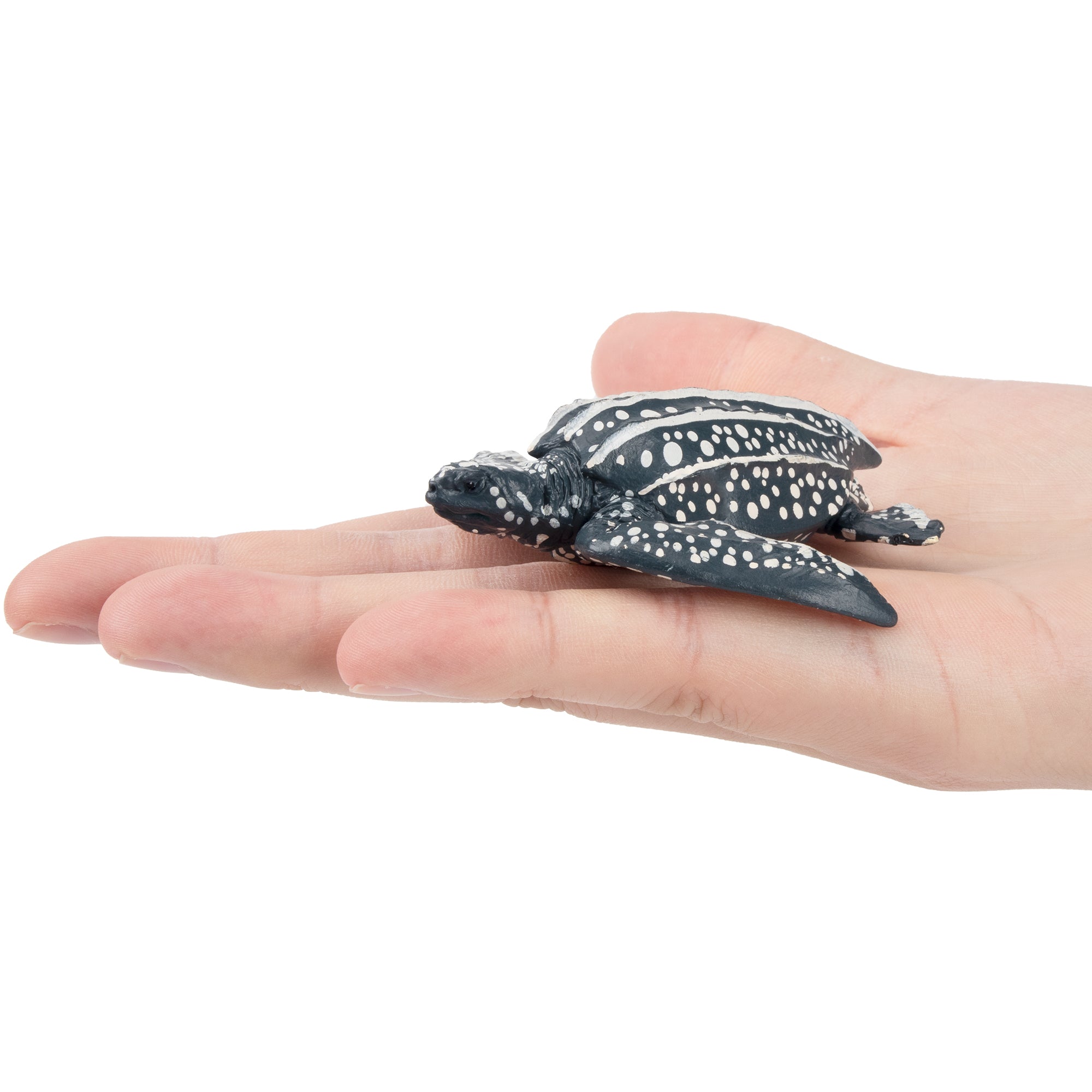 Toymany Leatherback Sea Turtle Figurine Toy-on hand