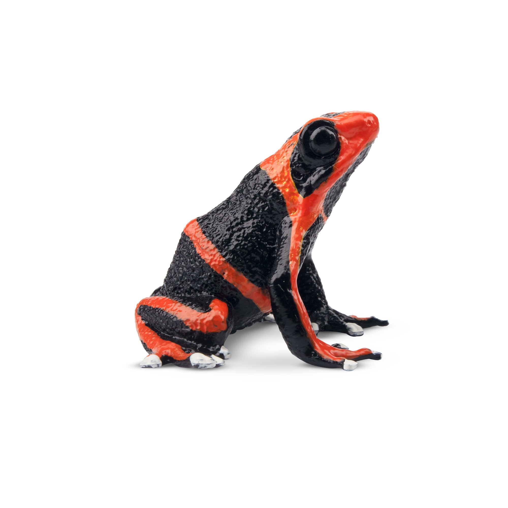 Toymany Lehmann's Poison Frog Figurine Toy-2