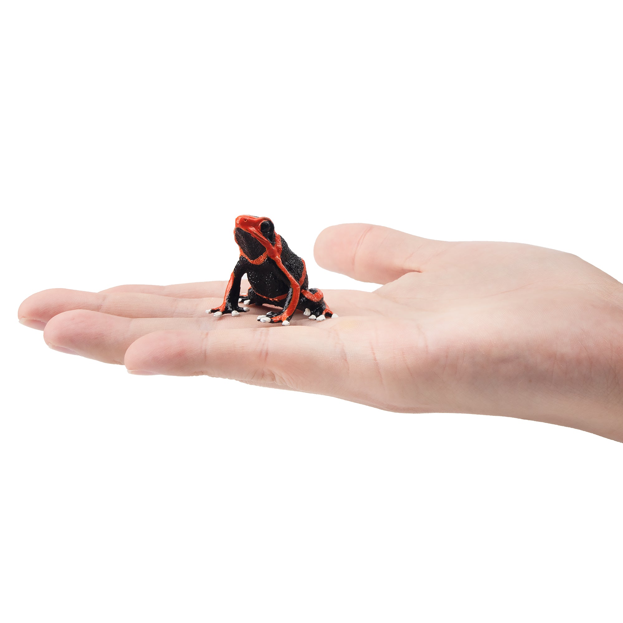 Toymany Lehmann's Poison Frog Figurine Toy-on hand