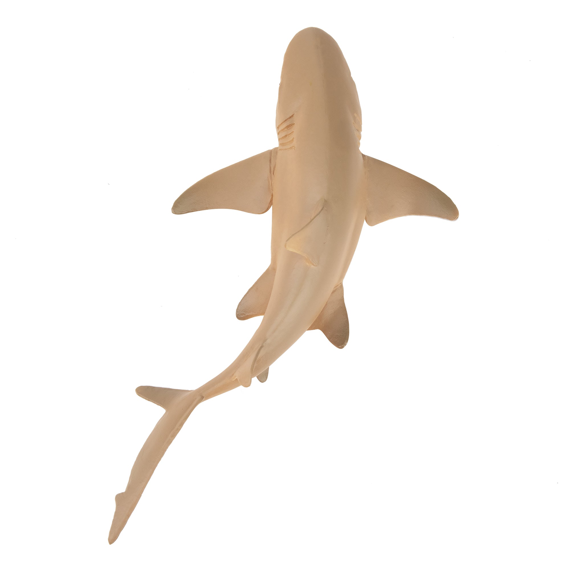Toymany Lemon Shark Figurine Toy-top