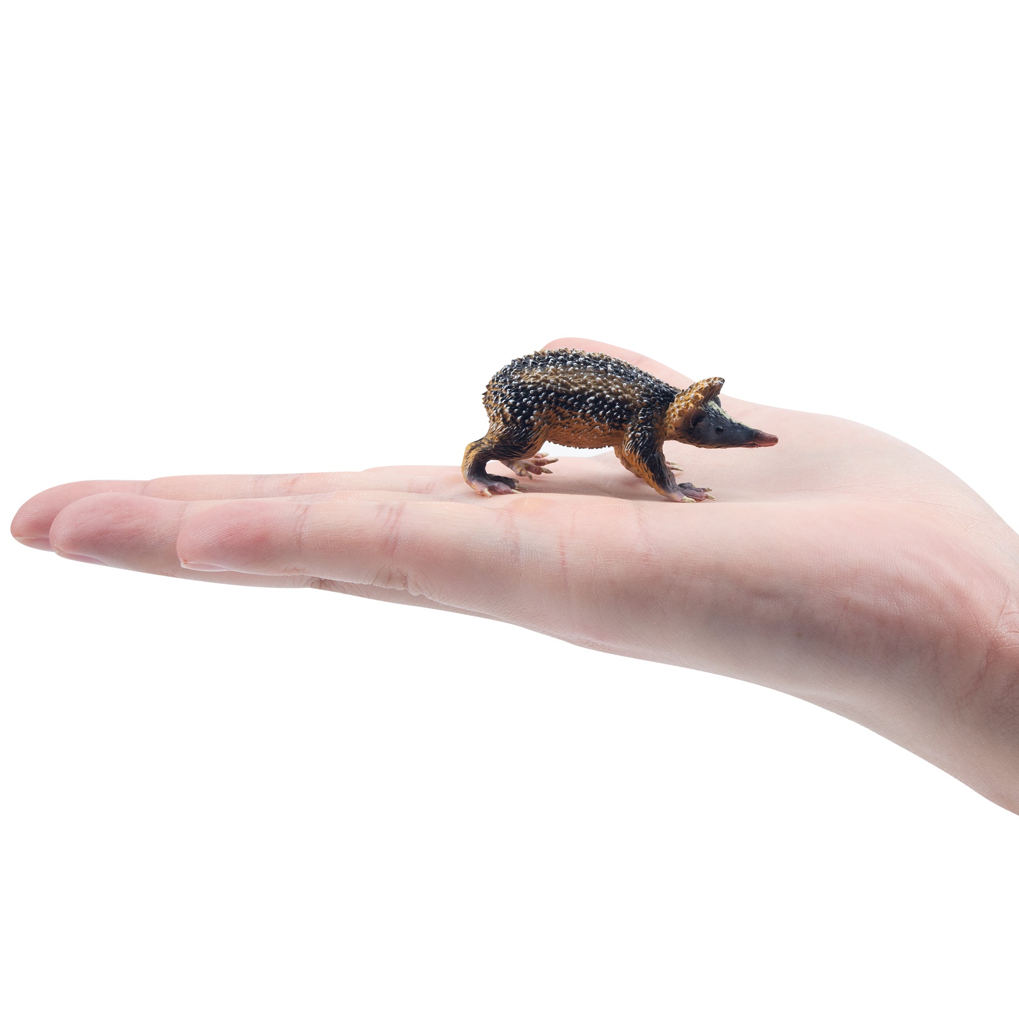 Toymany Lowland Streaked Tenrec Figurine Toy-on hand
