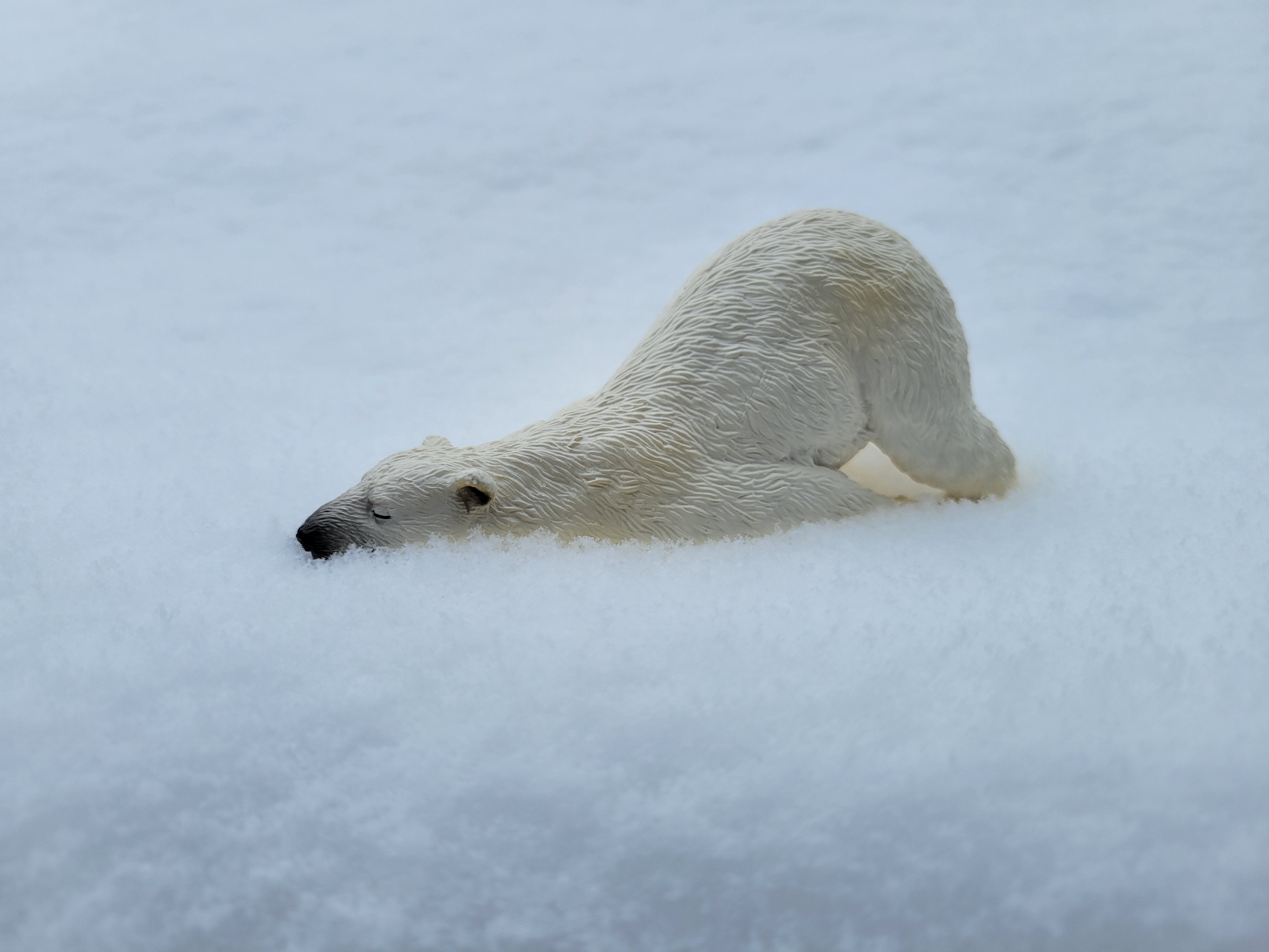 Toymany Lying Adult Polar Bear Figurine Toy-snow