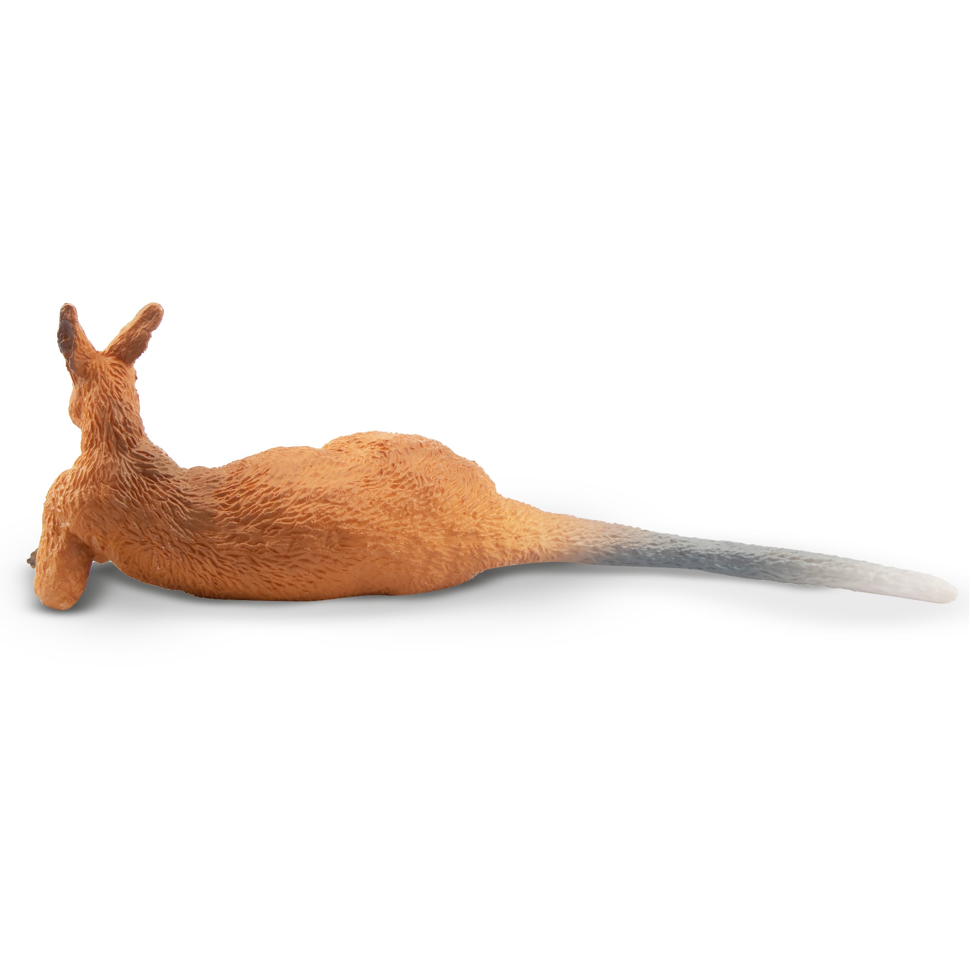 Toymany Lying  Kangaroo-back
