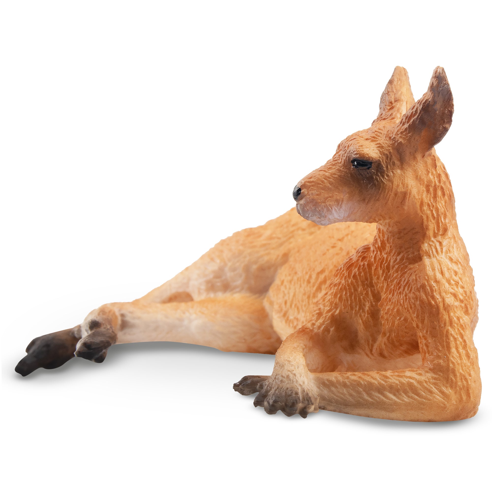 Toymany Lying  Kangaroo-detail
