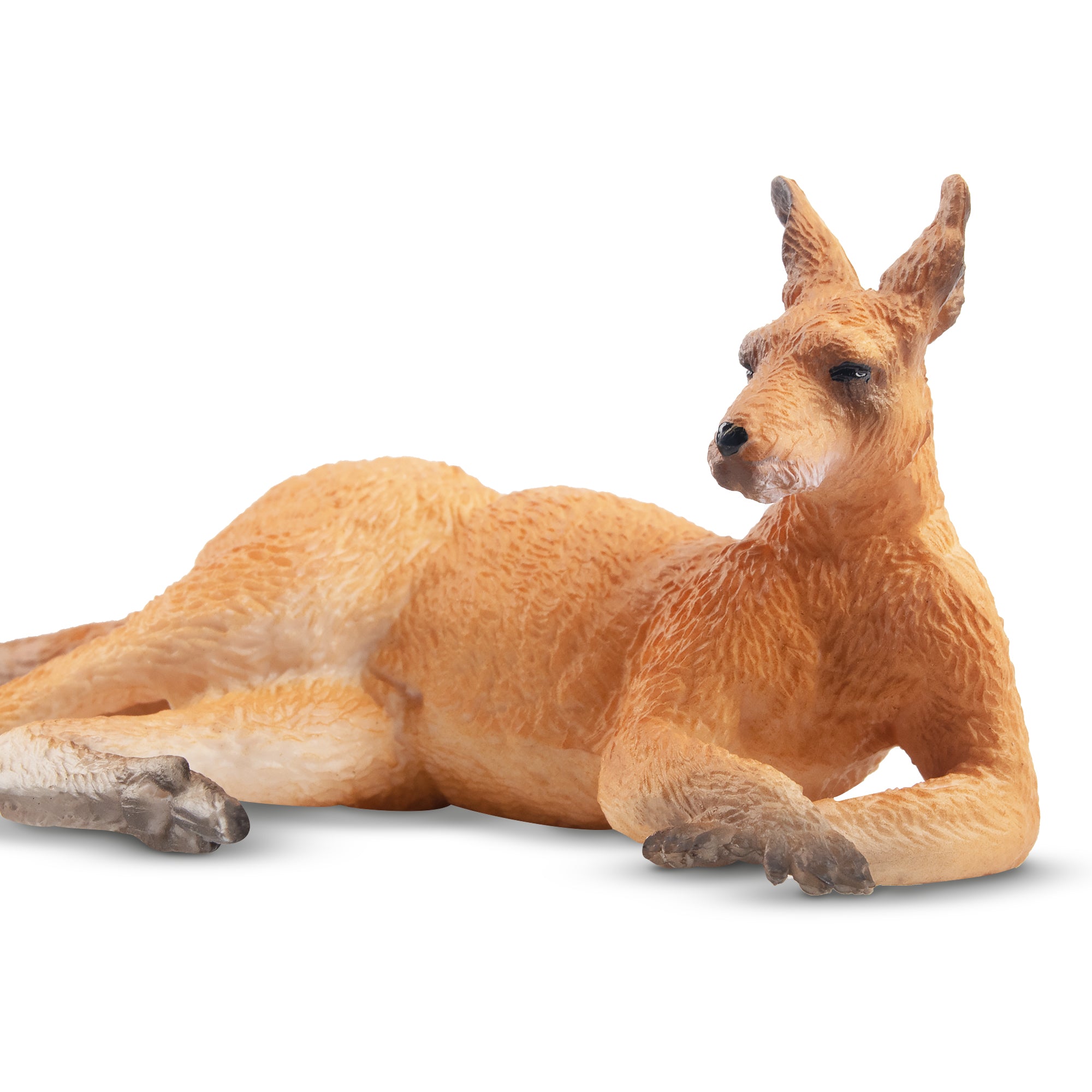 Toymany Lying  Kangaroo-front