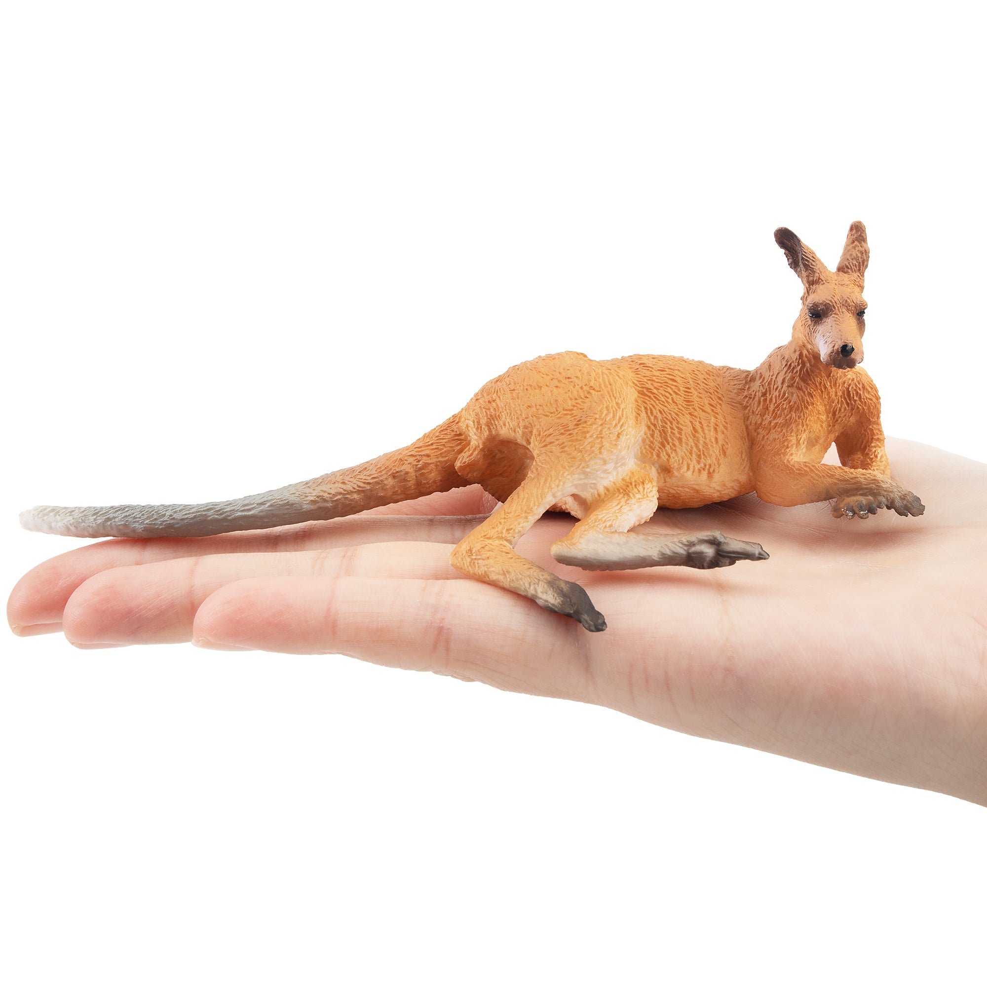 Toymany Lying  Kangaroo-on hand