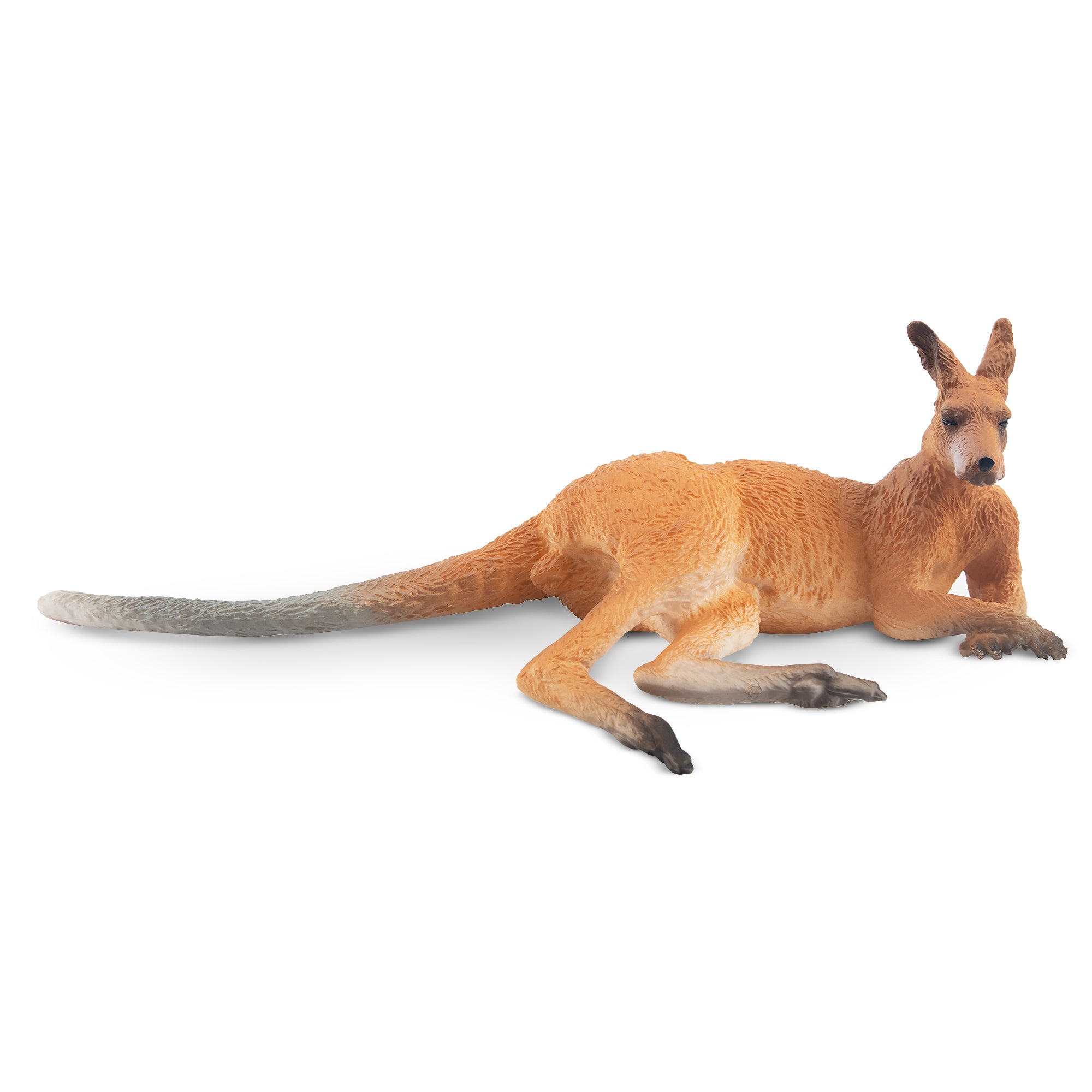 Toymany Lying  Kangaroo