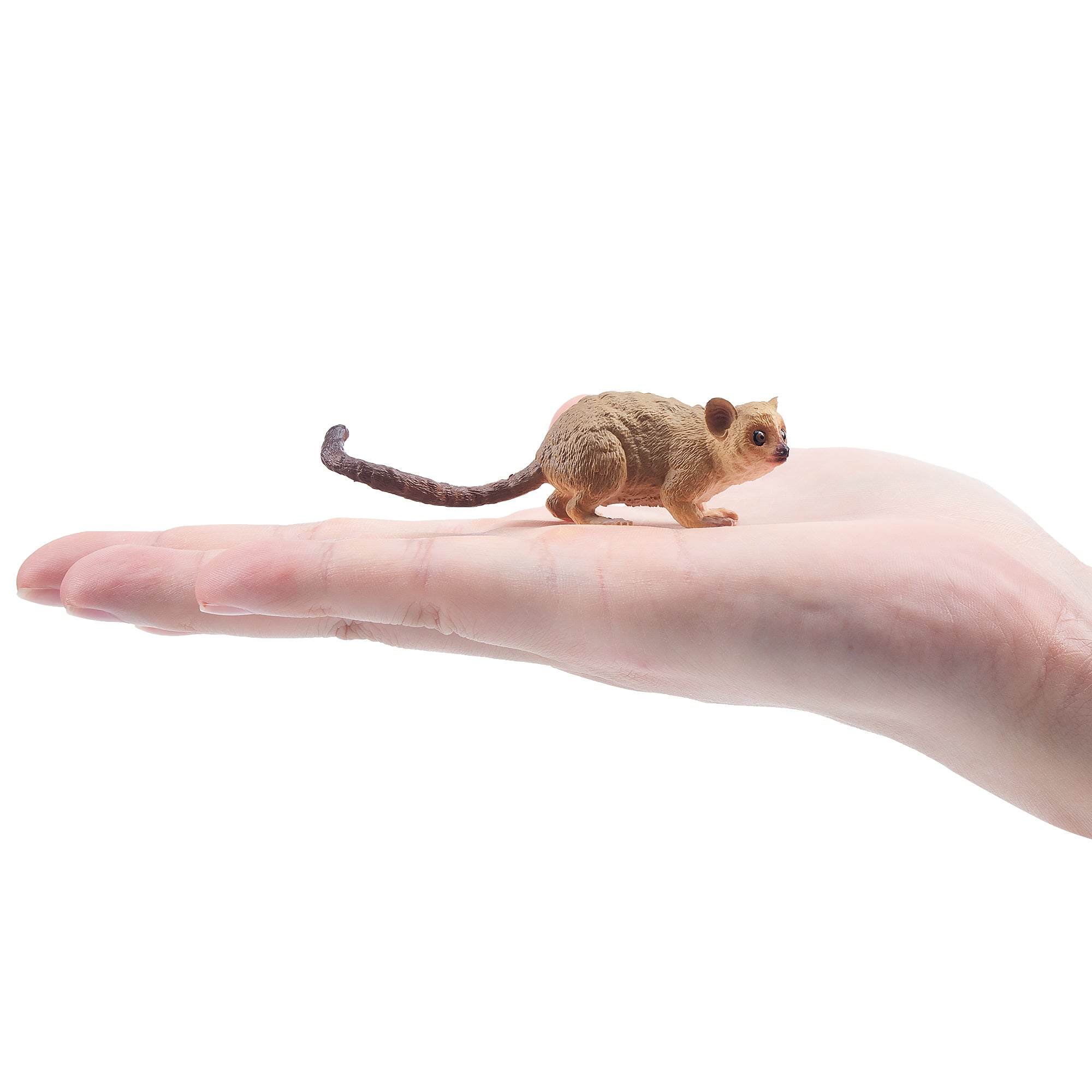 Toymany Madame Berthe's Mouse Lemur Figurine Toy-on hand