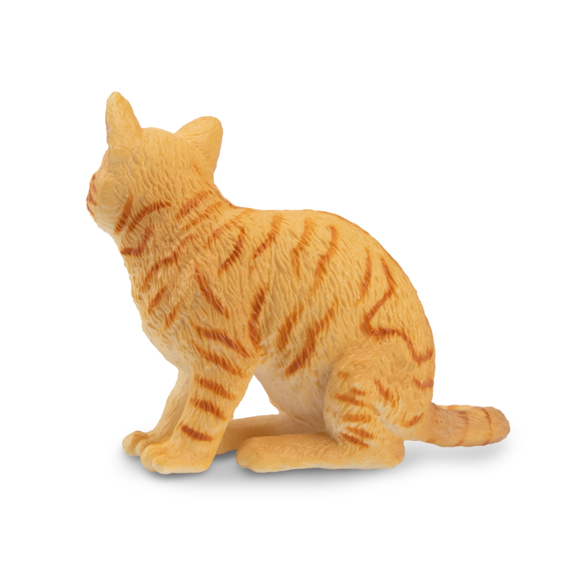 Toymany Mini Gazing Orange American Wirehair Cat Figurine Toy-2
