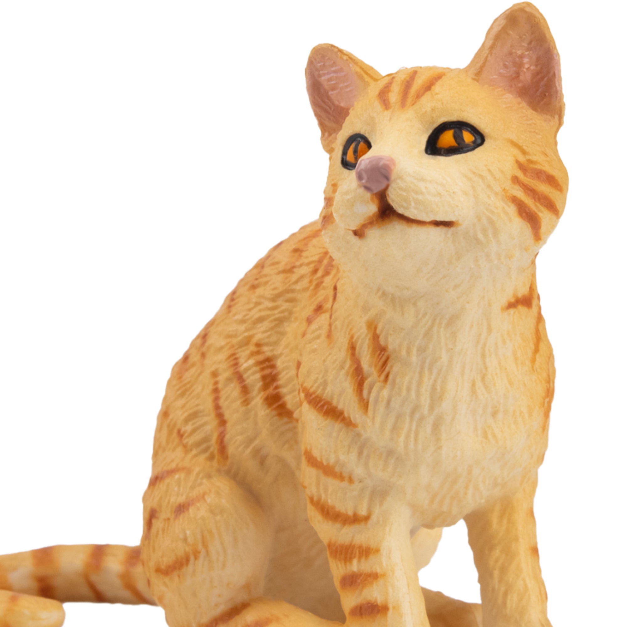 Toymany Mini Gazing Orange American Wirehair Cat Figurine Toy-detail